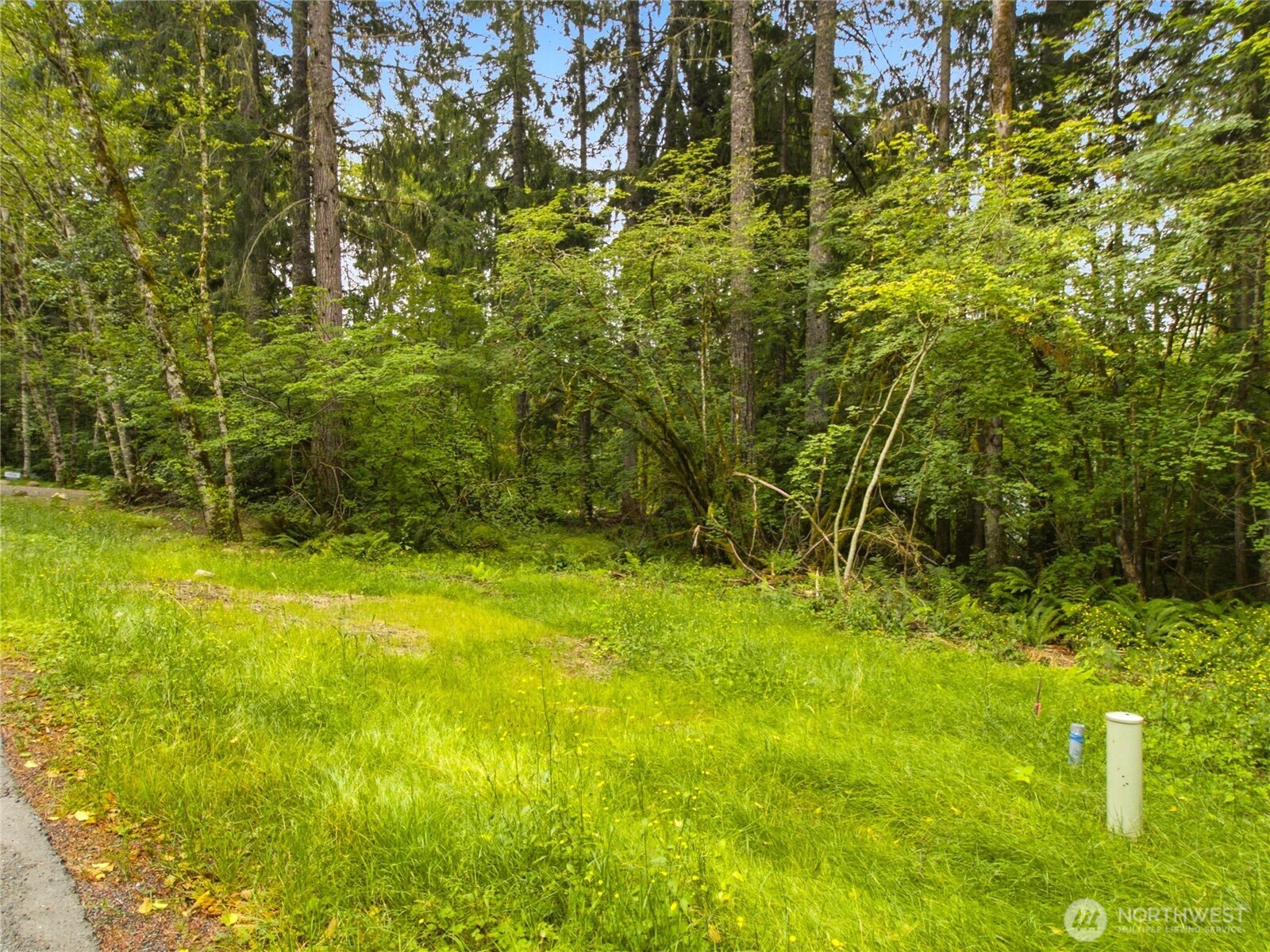 31418 Mount Tahoma Canyon Road Property Photo 11