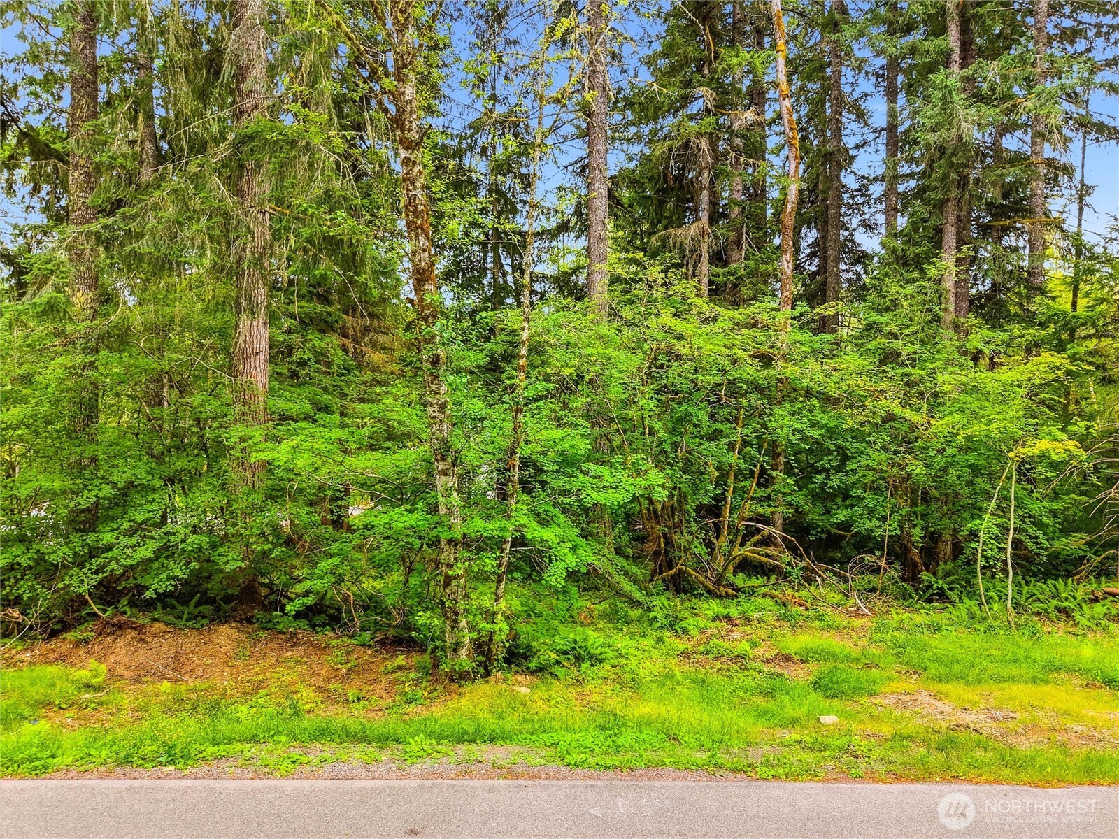 31418 Mount Tahoma Canyon Road Property Photo 12