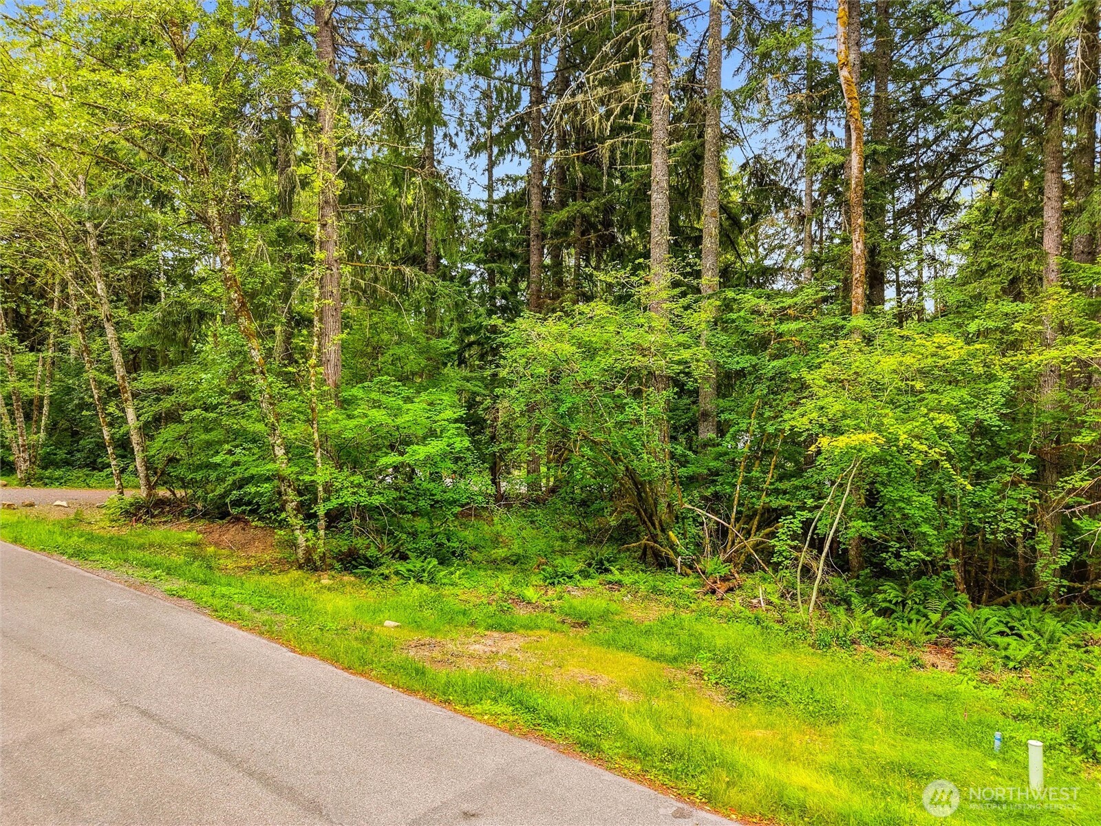 31418 Mount Tahoma Canyon Road Property Photo 14