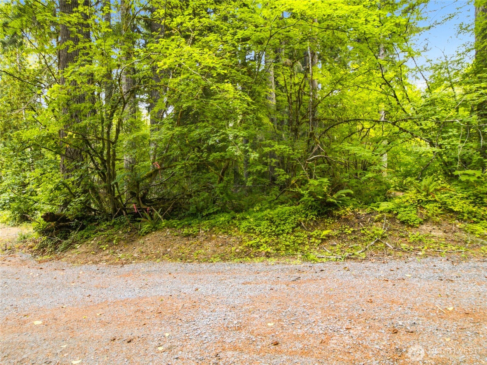31418 Mount Tahoma Canyon Road Property Photo 16