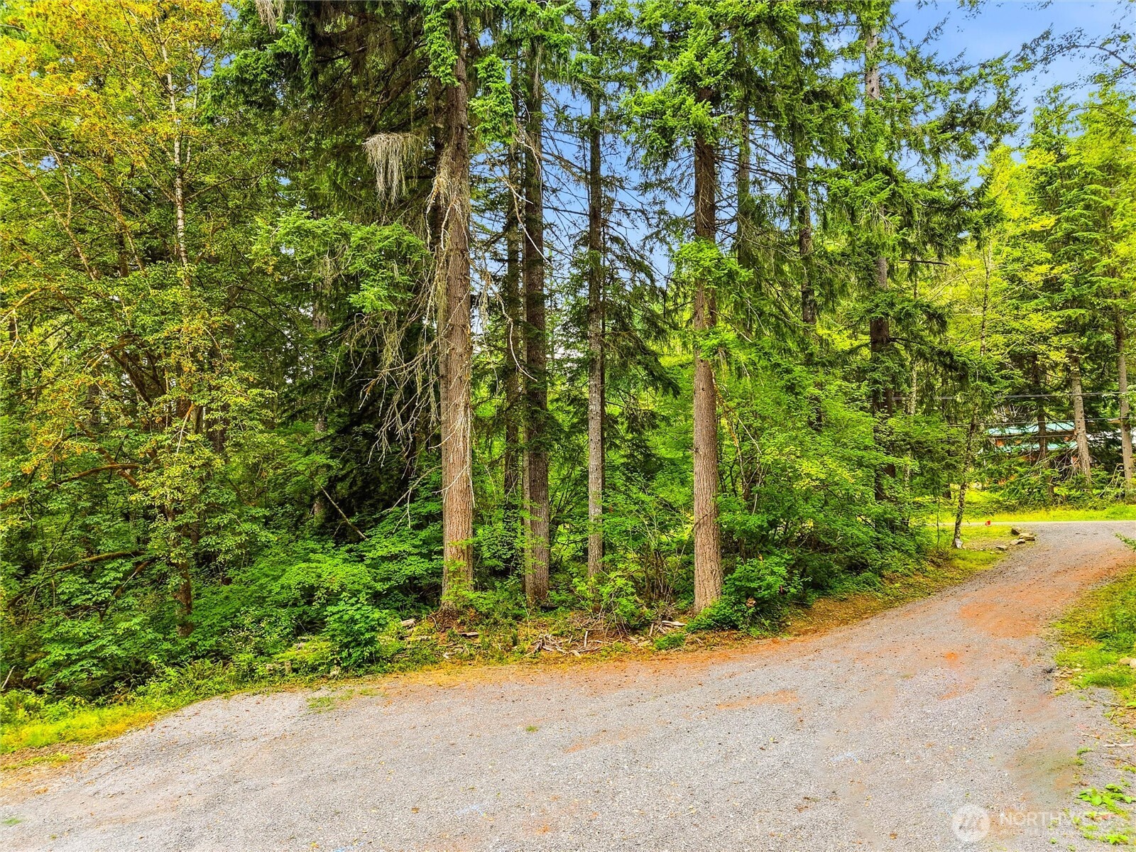31418 Mount Tahoma Canyon Road Property Photo 21