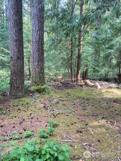 41 N Kitsap Place Property Photo 4