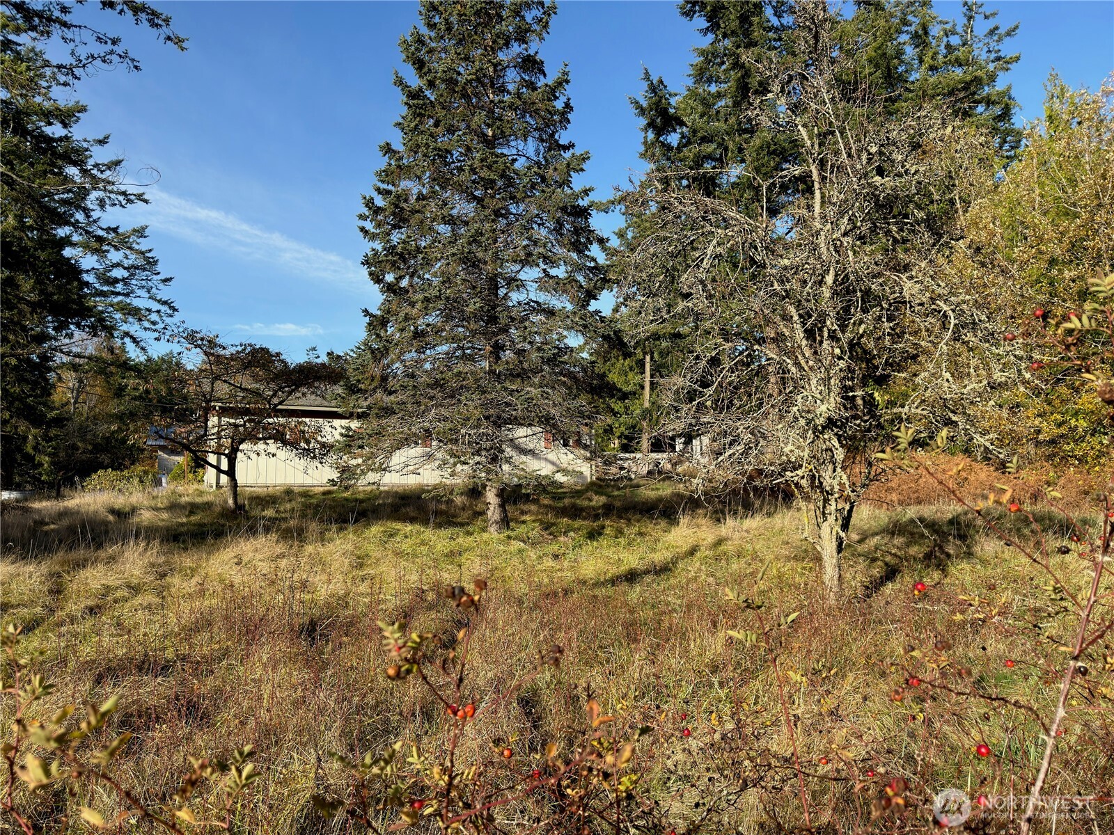 2410 Hastings Avenue Property Photo 15