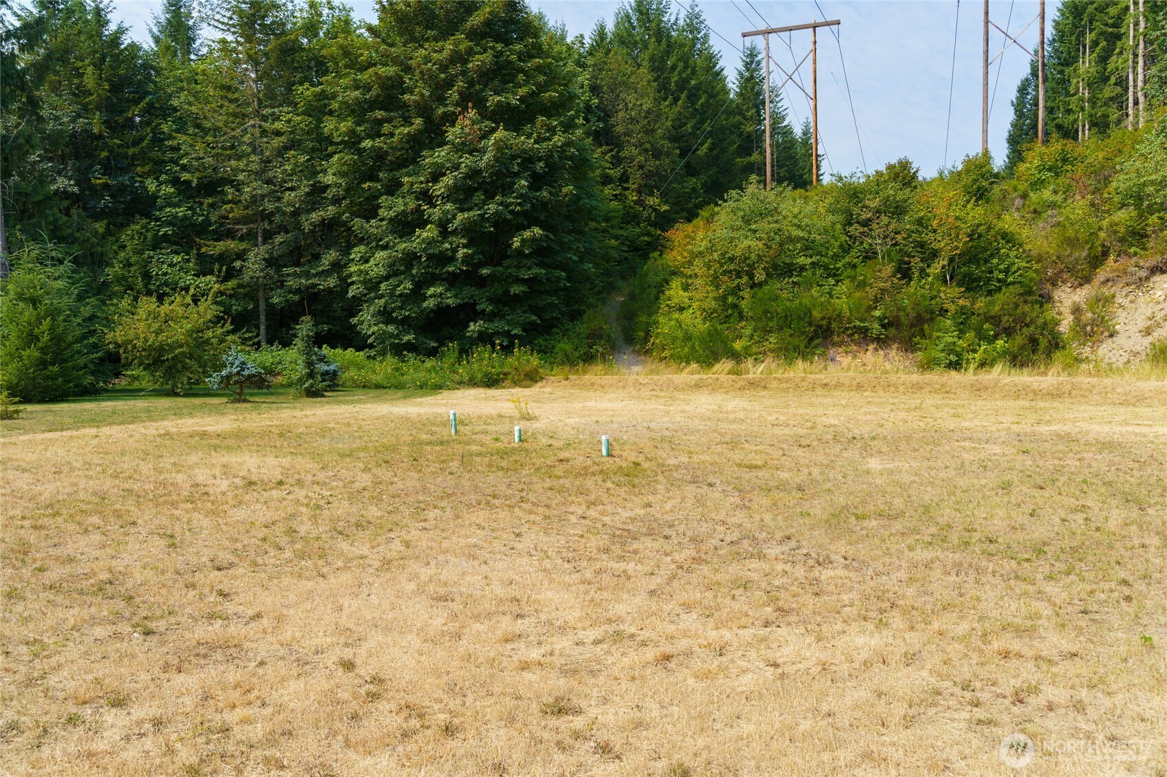 37373 Fieldstone Court Property Photo 6
