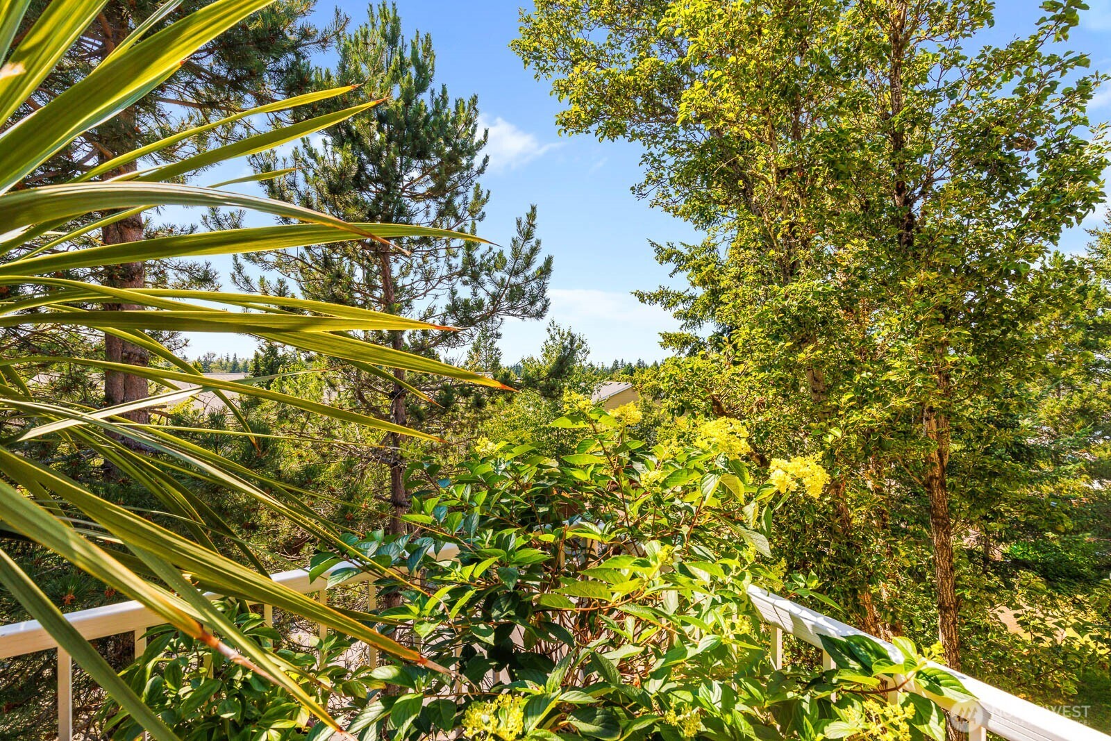 710 240th Way G302 Property Photo 12