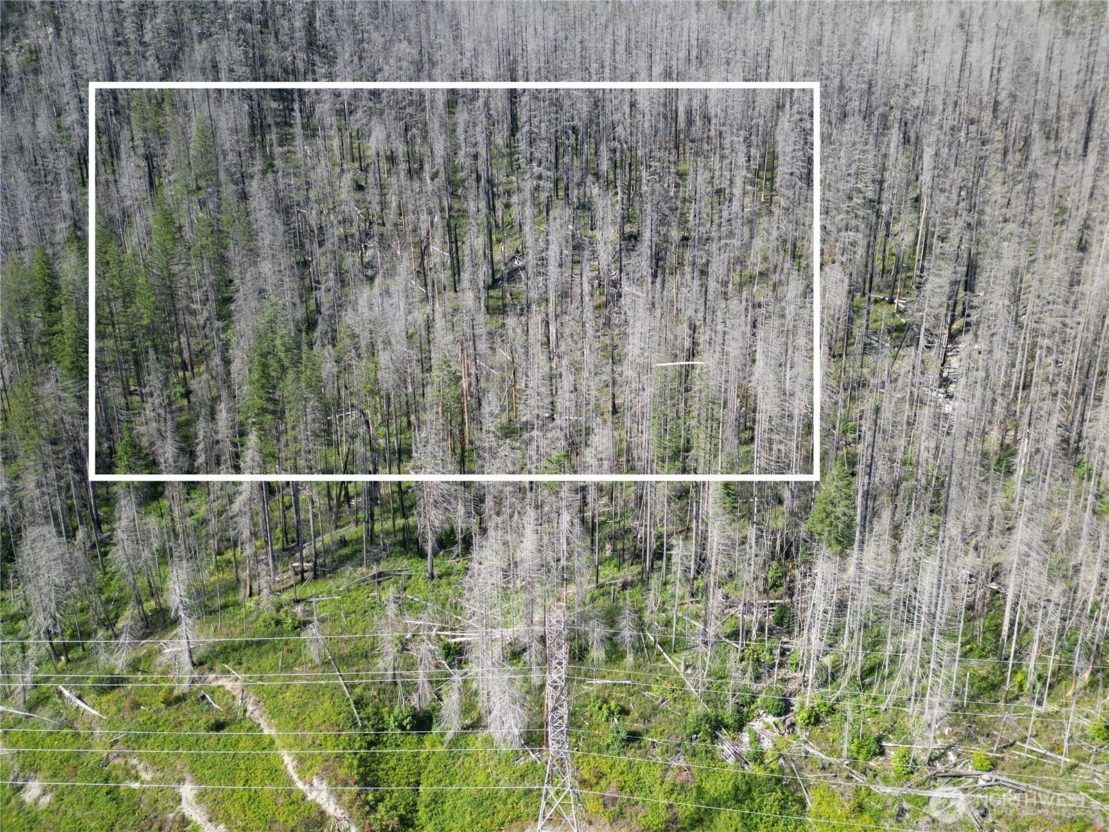 0 Xx Skykomish Woods Property Photo 2