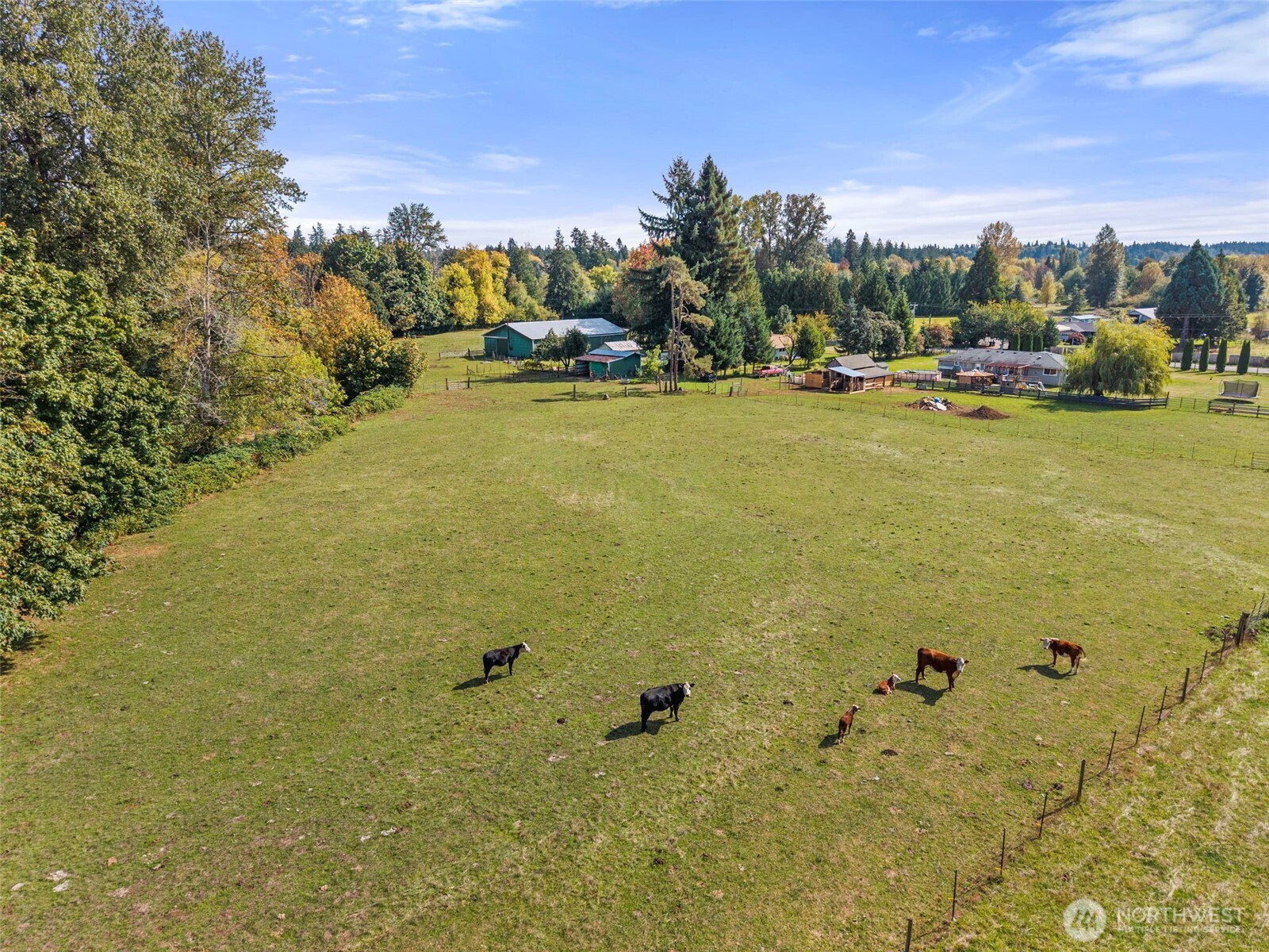 6724 128th Avenue Property Photo 11