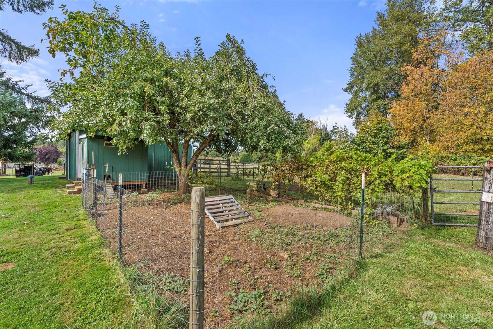6724 128th Avenue Property Photo 18