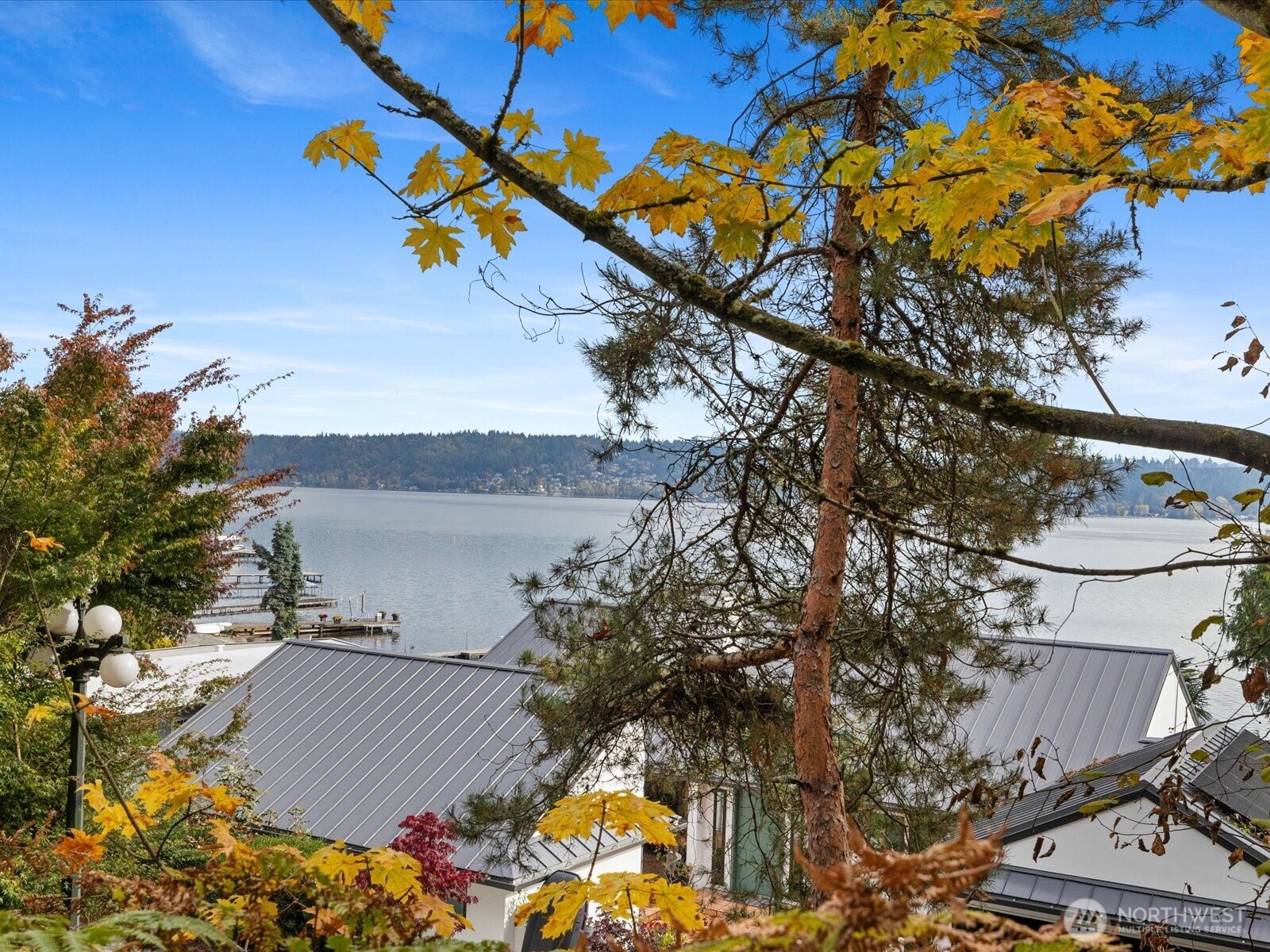 445 W Lake Sammamish Parkway Property Photo 3