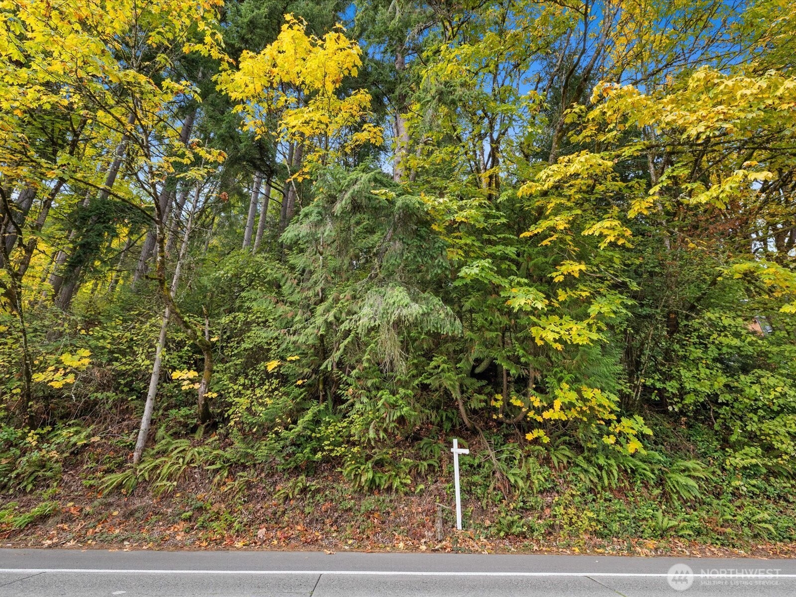 445 W Lake Sammamish Parkway Property Photo 4