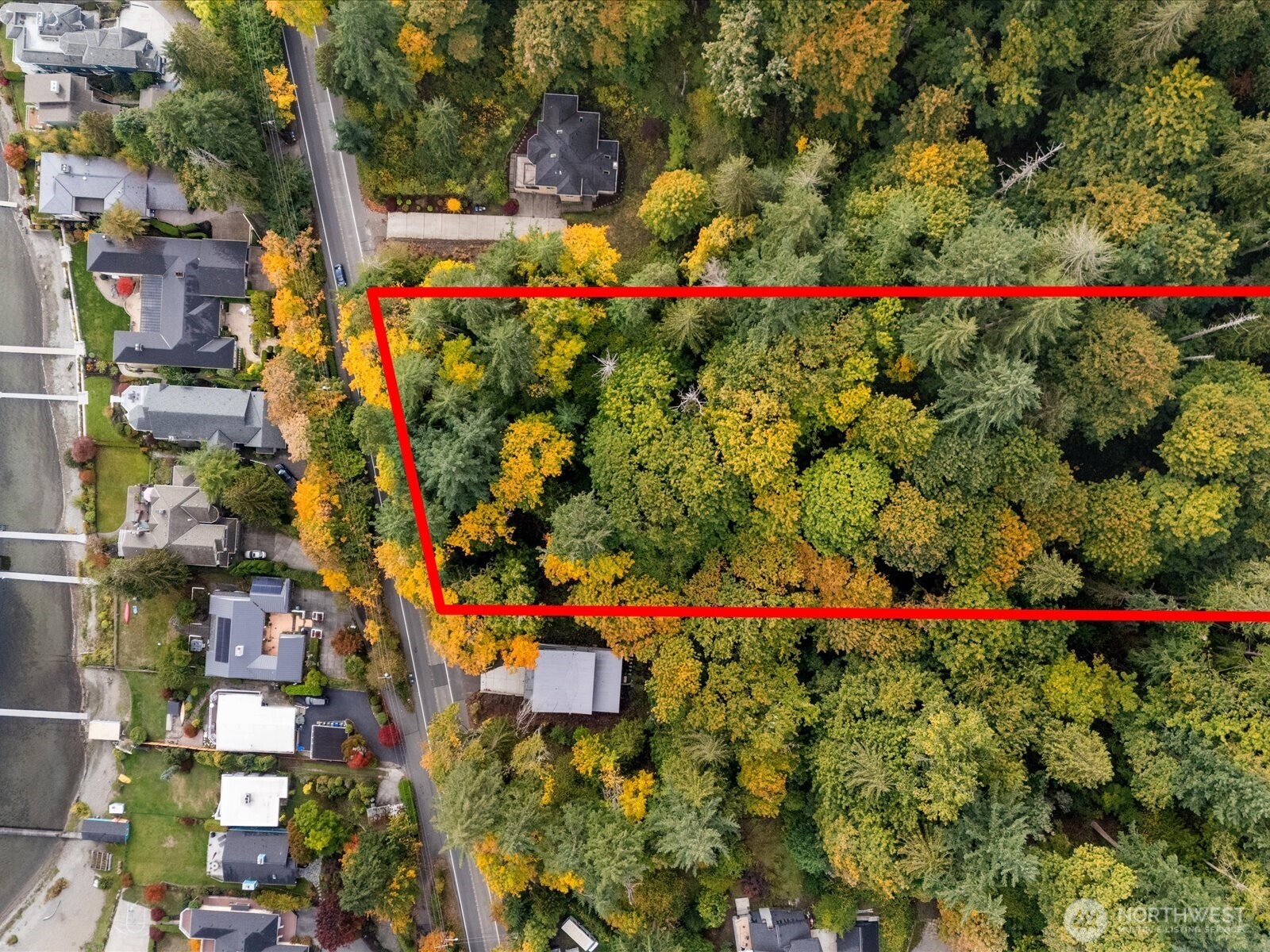 445 W Lake Sammamish Parkway Property Photo 6