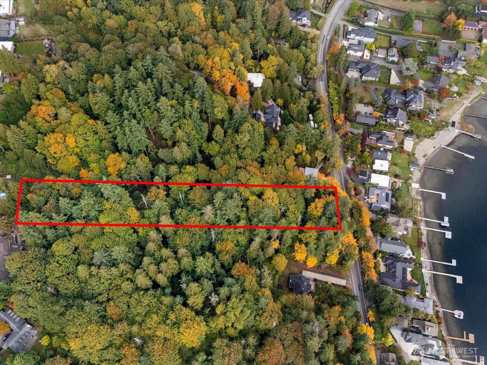 445 W Lake Sammamish Parkway Property Photo 8