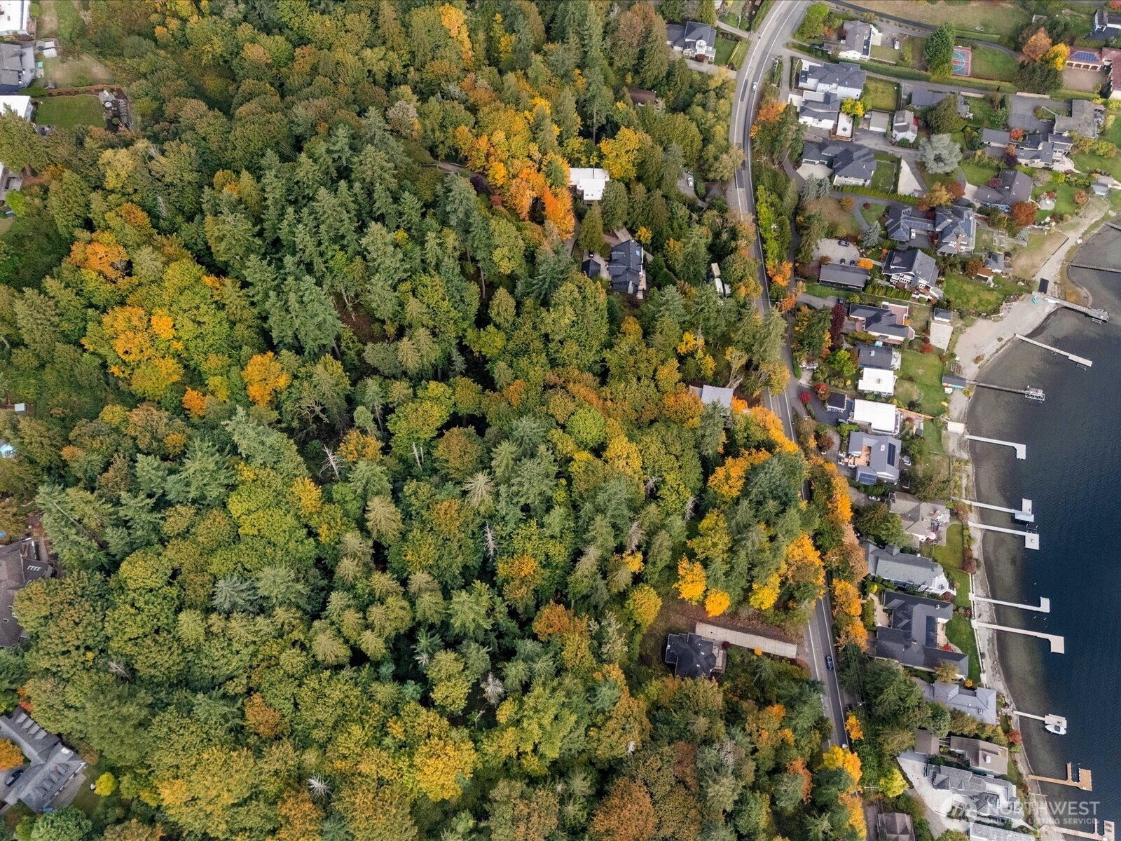 445 W Lake Sammamish Parkway Property Photo 9