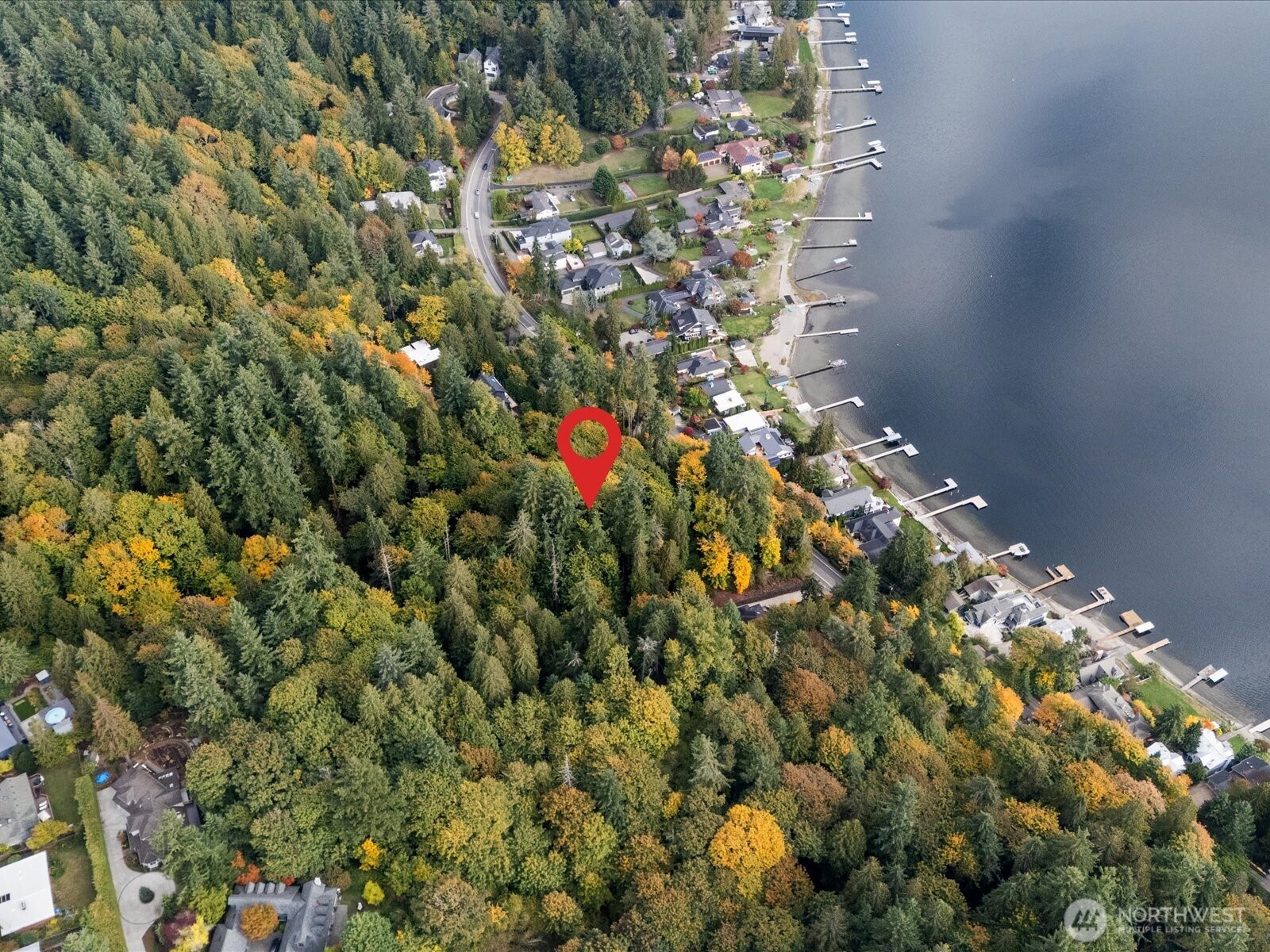 445 W Lake Sammamish Parkway Property Photo 12
