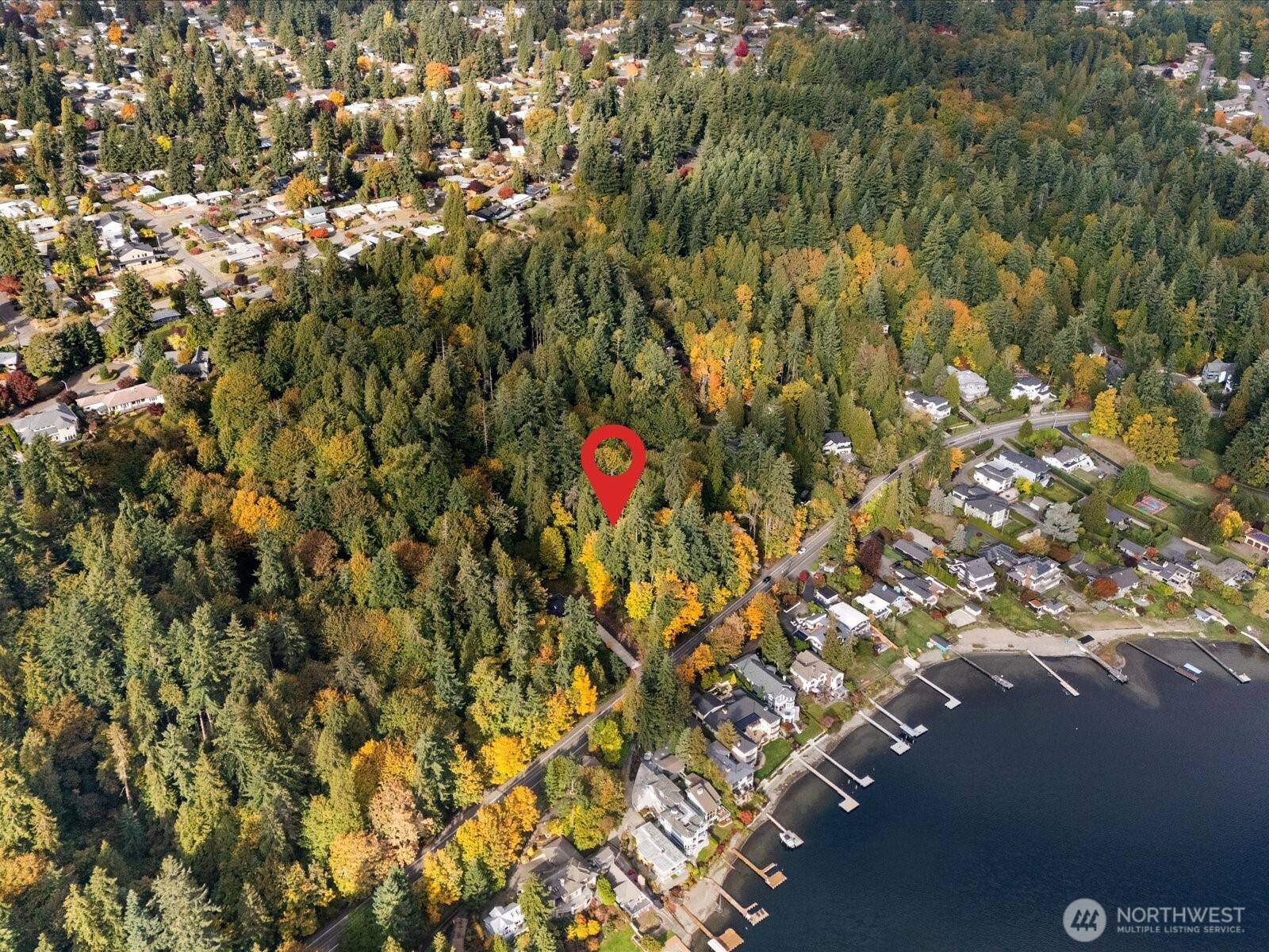 445 W Lake Sammamish Parkway Property Photo 13