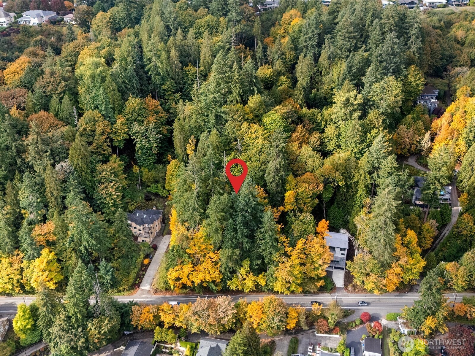 445 W Lake Sammamish Parkway Property Photo 16