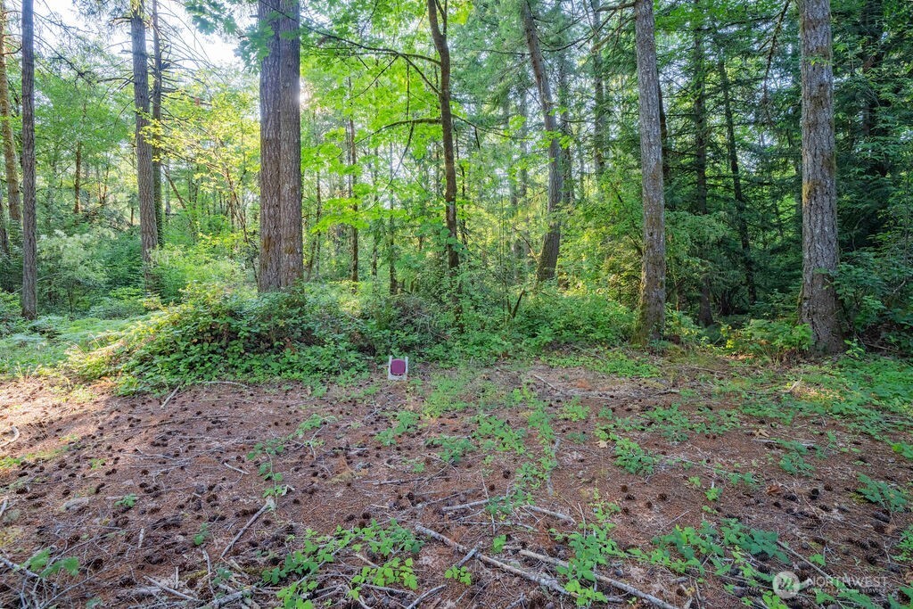 1952 E Agate Road Property Photo 4