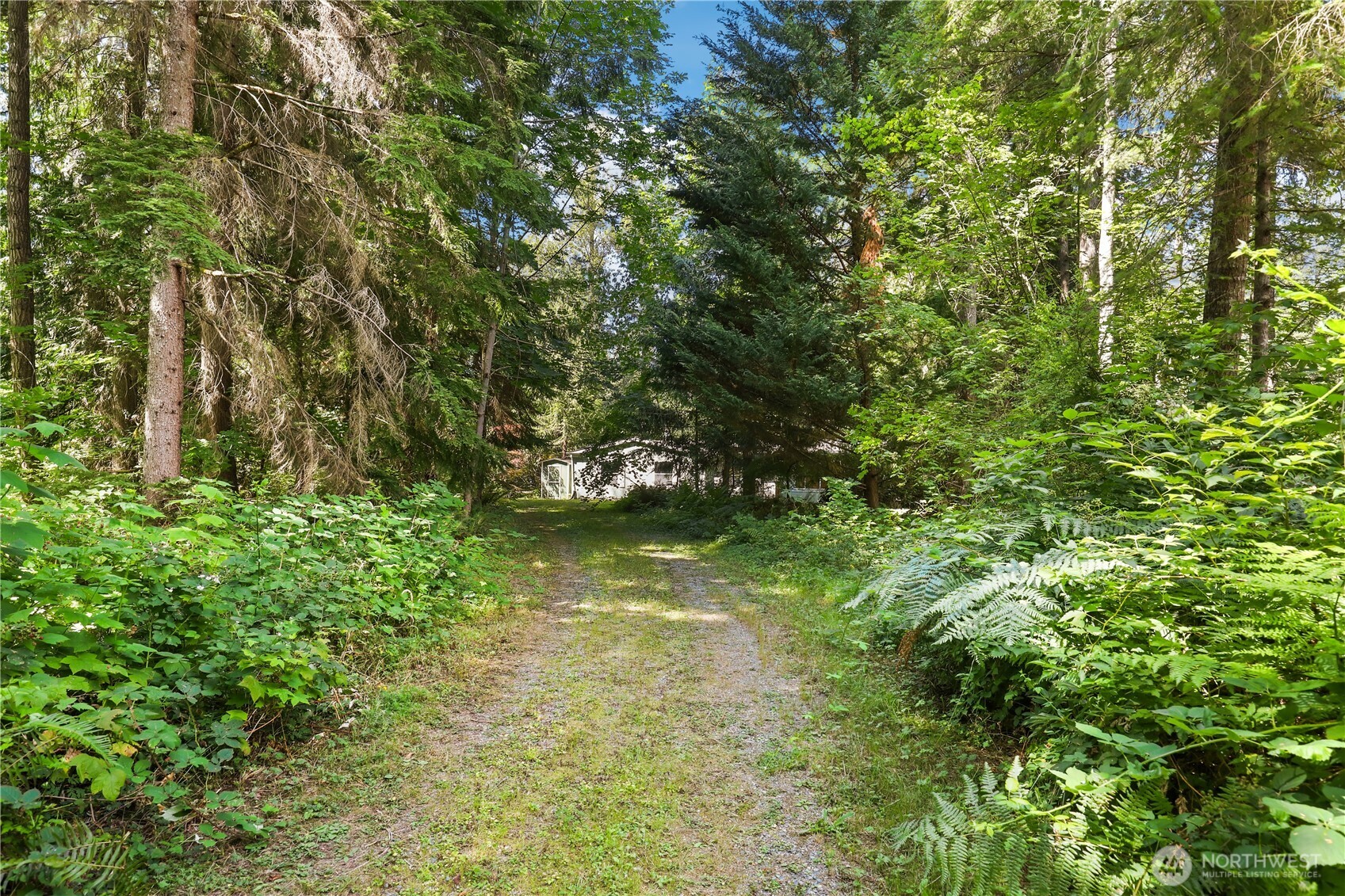20224 Se 229th Street Property Photo 3