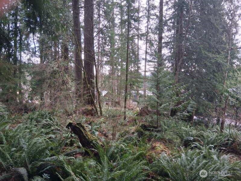 74 Lake Louise Drive Property Photo 6