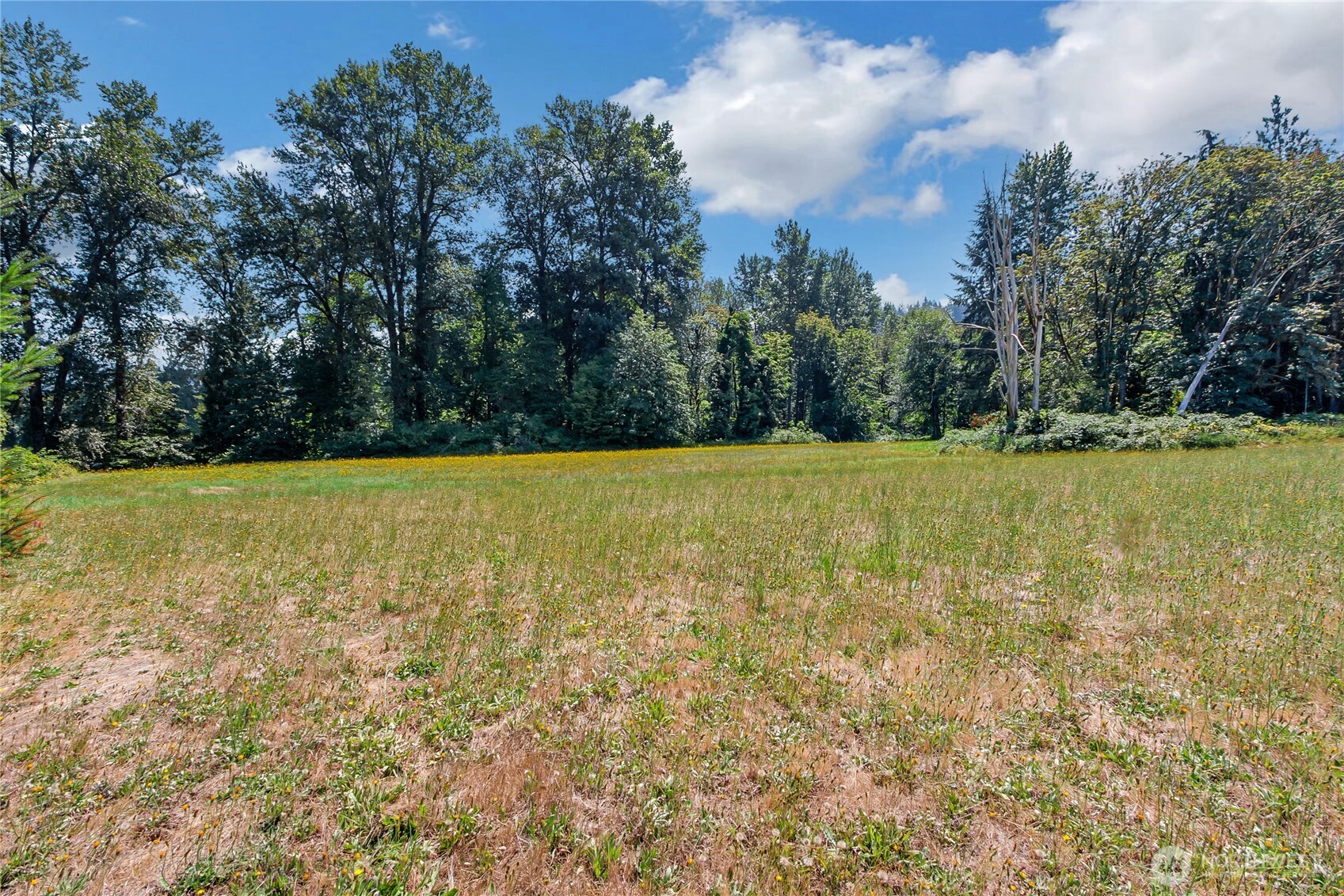 15901 106th Street Property Photo 24