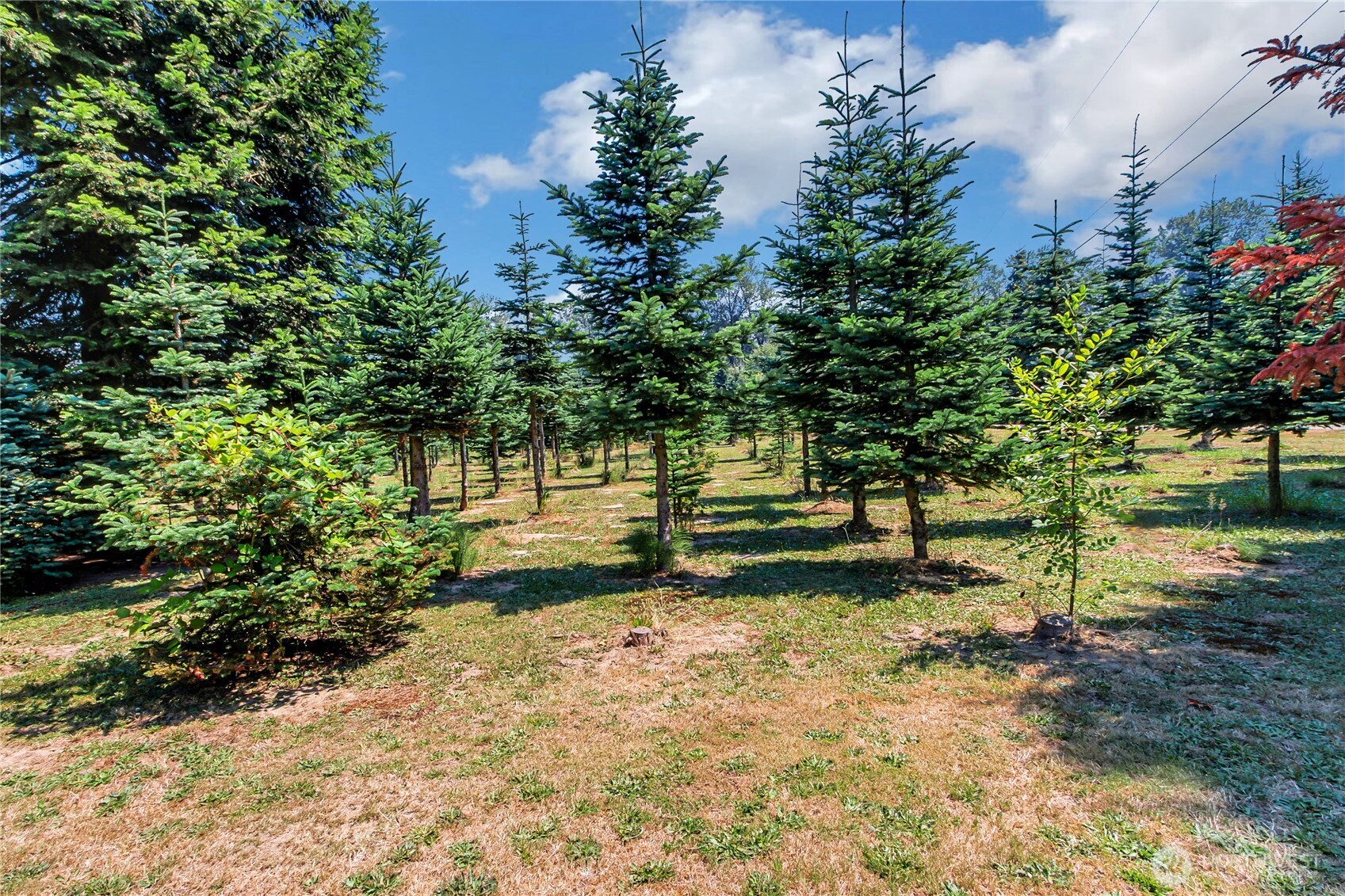 15901 106th Street Property Photo 26