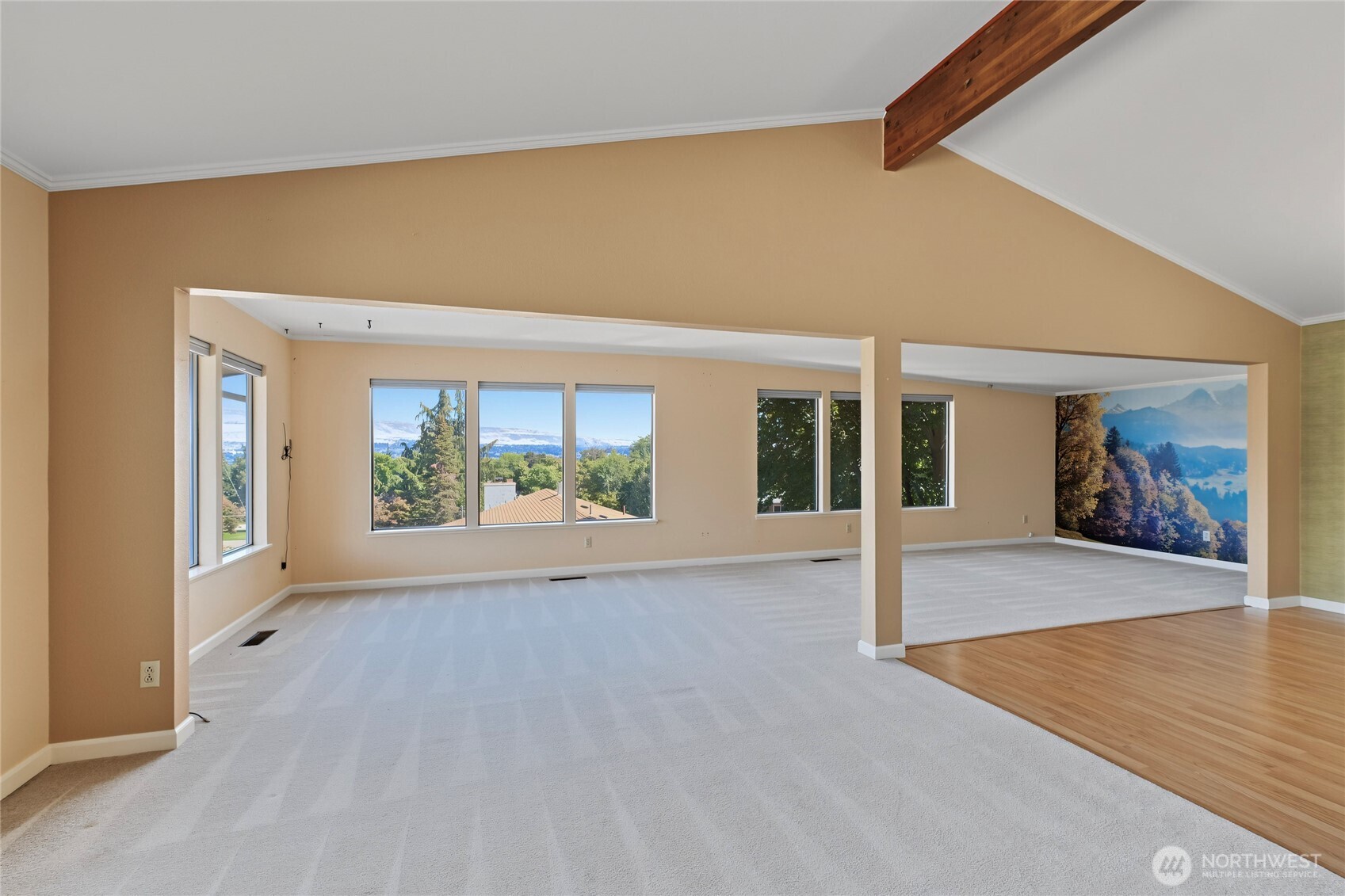 1617 Carson Lane Property Photo 3