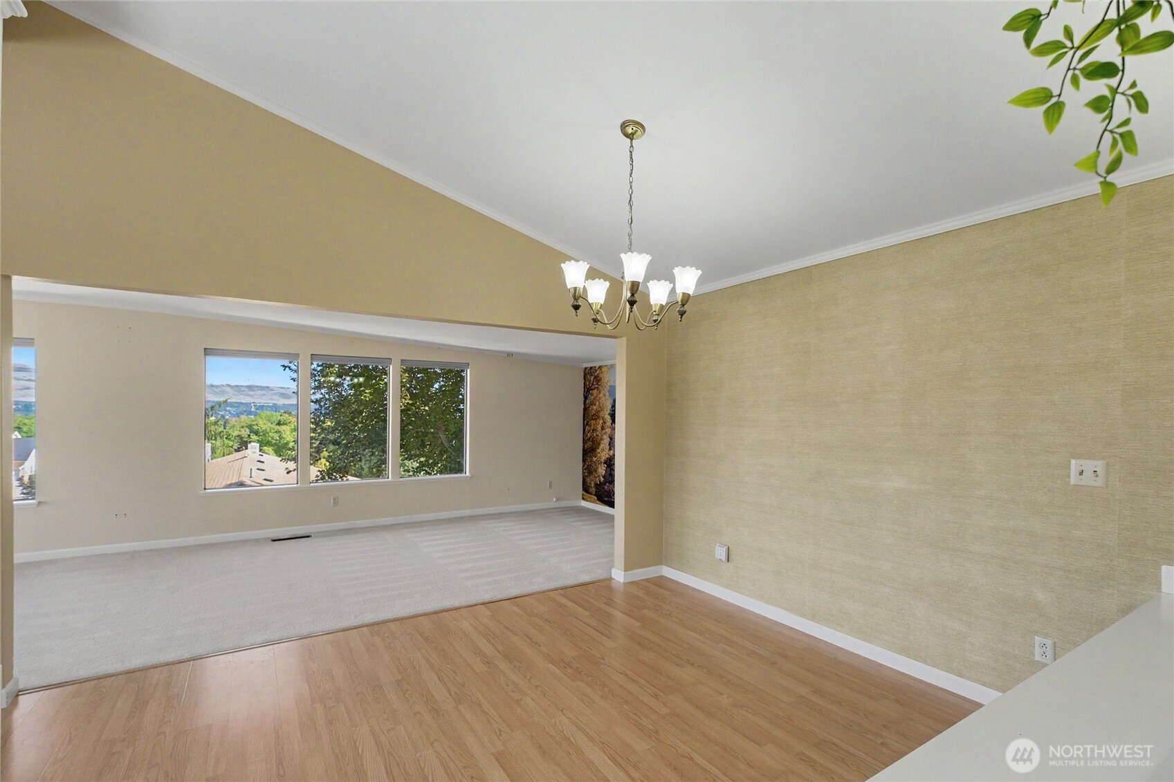 1617 Carson Lane Property Photo 12