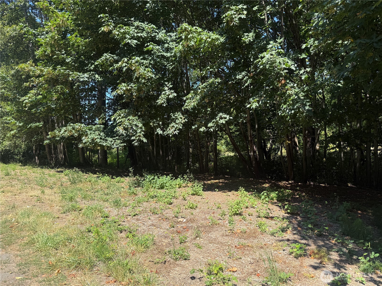 2009 E Ennis Creek Road Property Photo 10