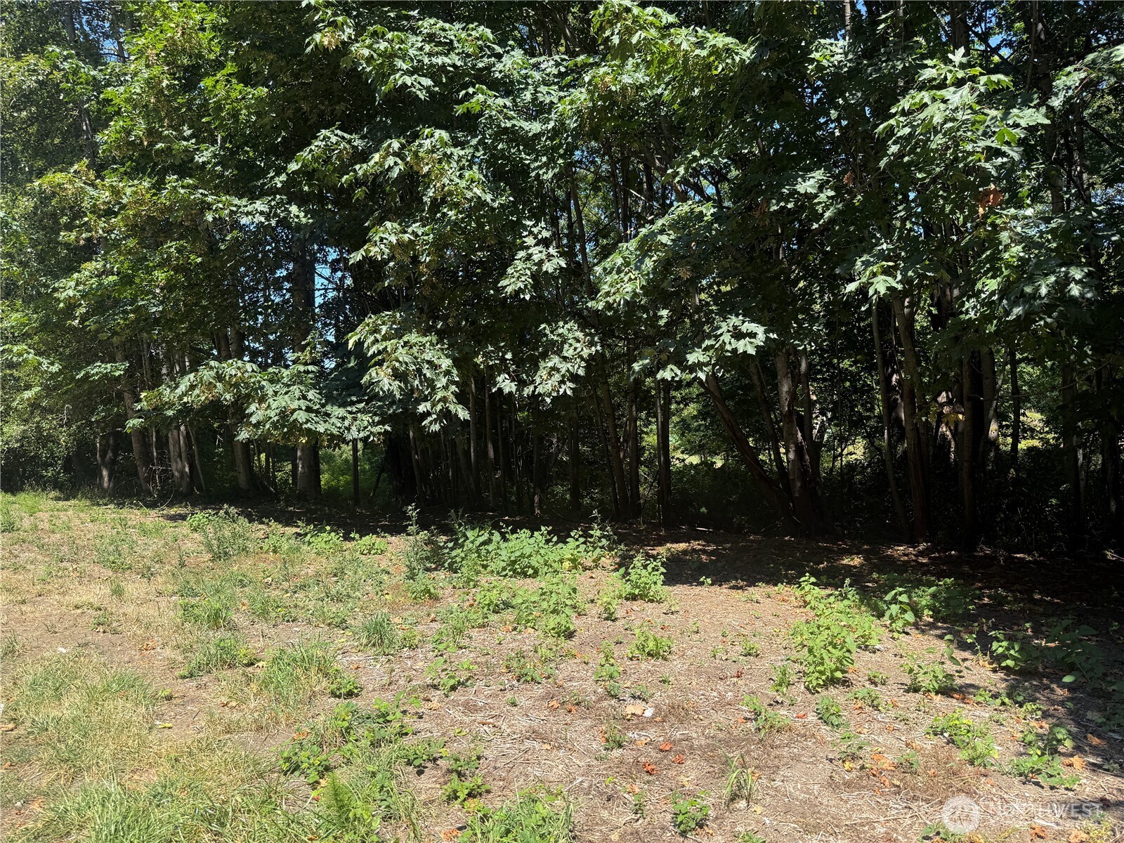2009 E Ennis Creek Road Property Photo 11