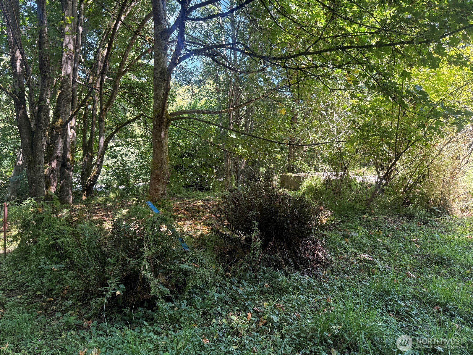 2009 E Ennis Creek Road Property Photo 18