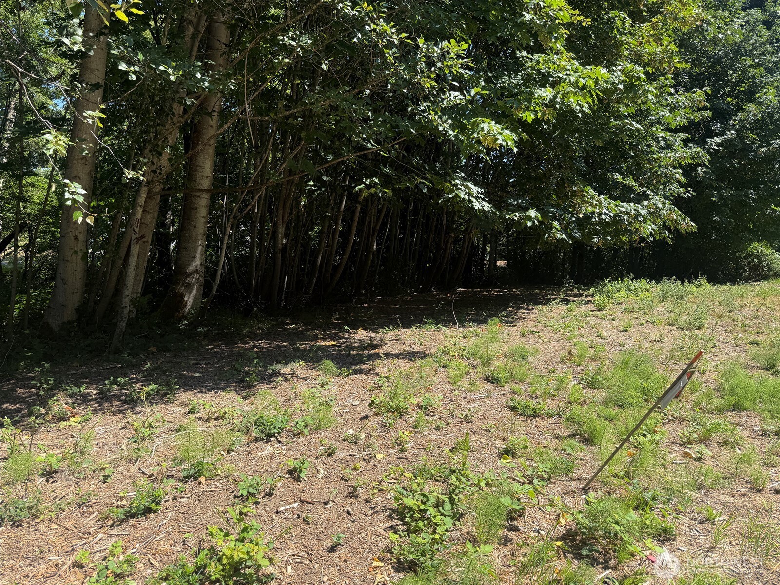 2009 E Ennis Creek Road Property Photo 21