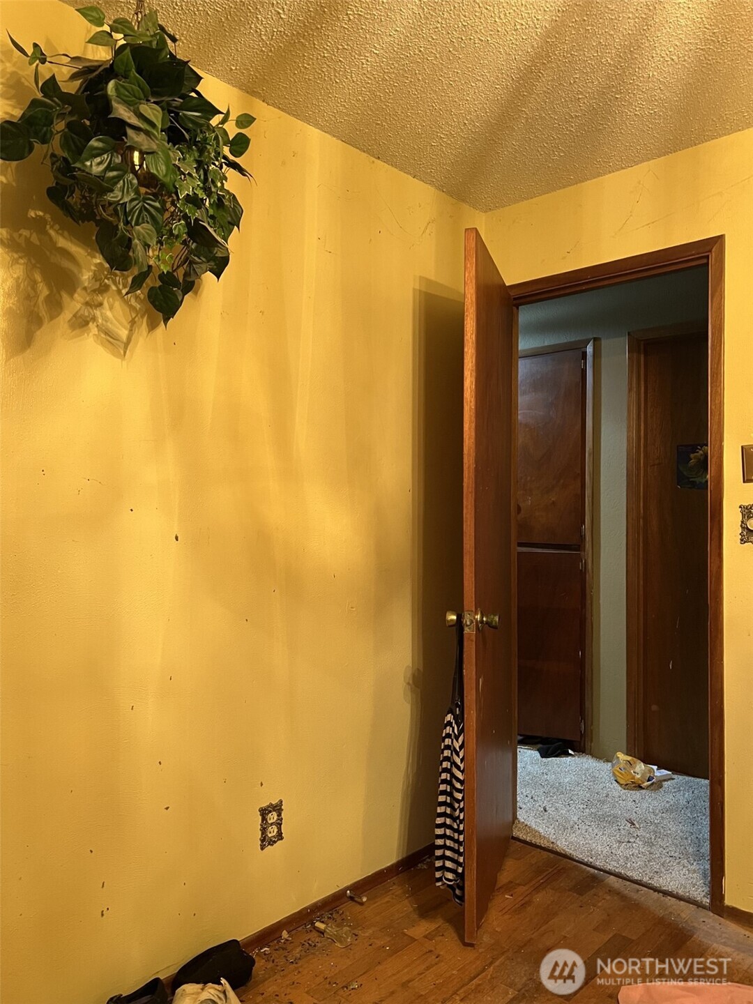 6928 20th Avenue Property Photo 5