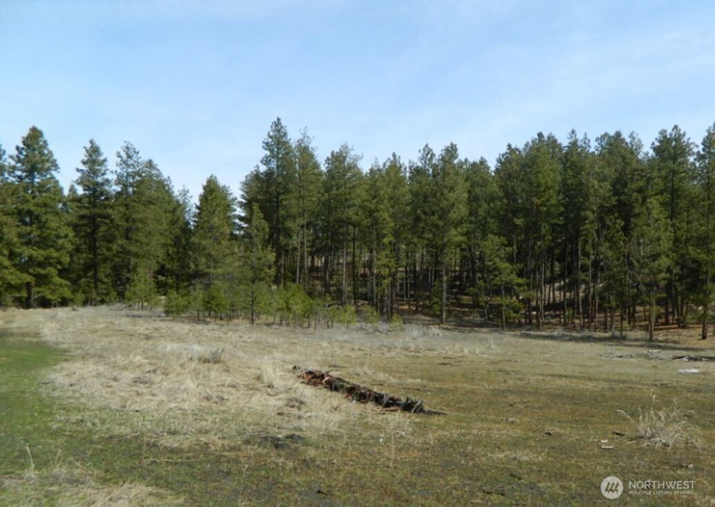 280 Reevas Basin Road Property Photo 6