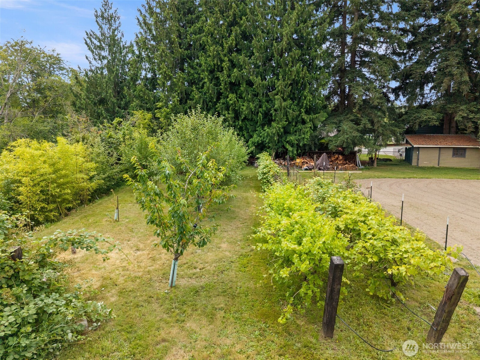 6717 56th Street Property Photo 8