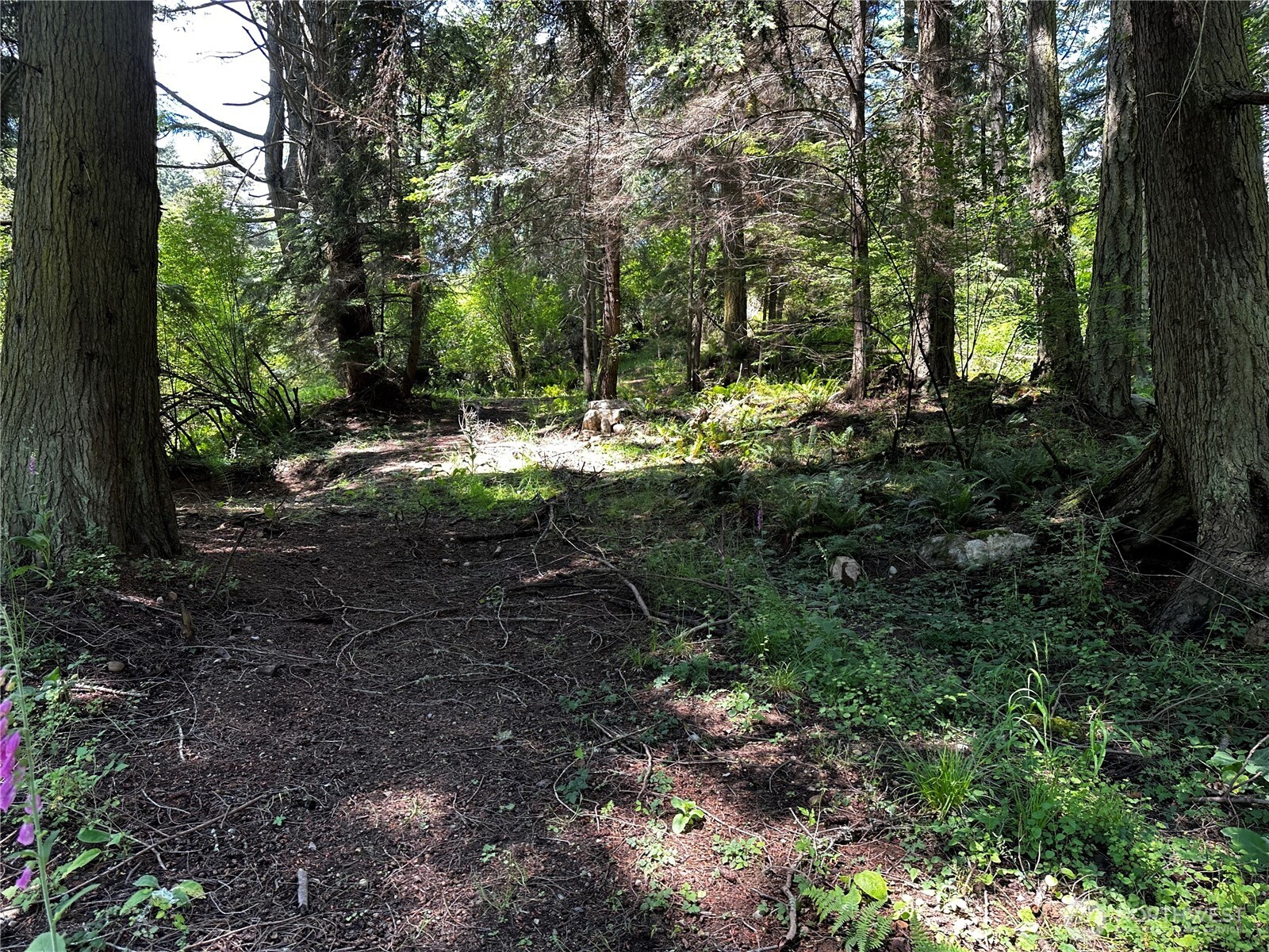 808 Roehl's Hill Rd. Road Property Photo 10
