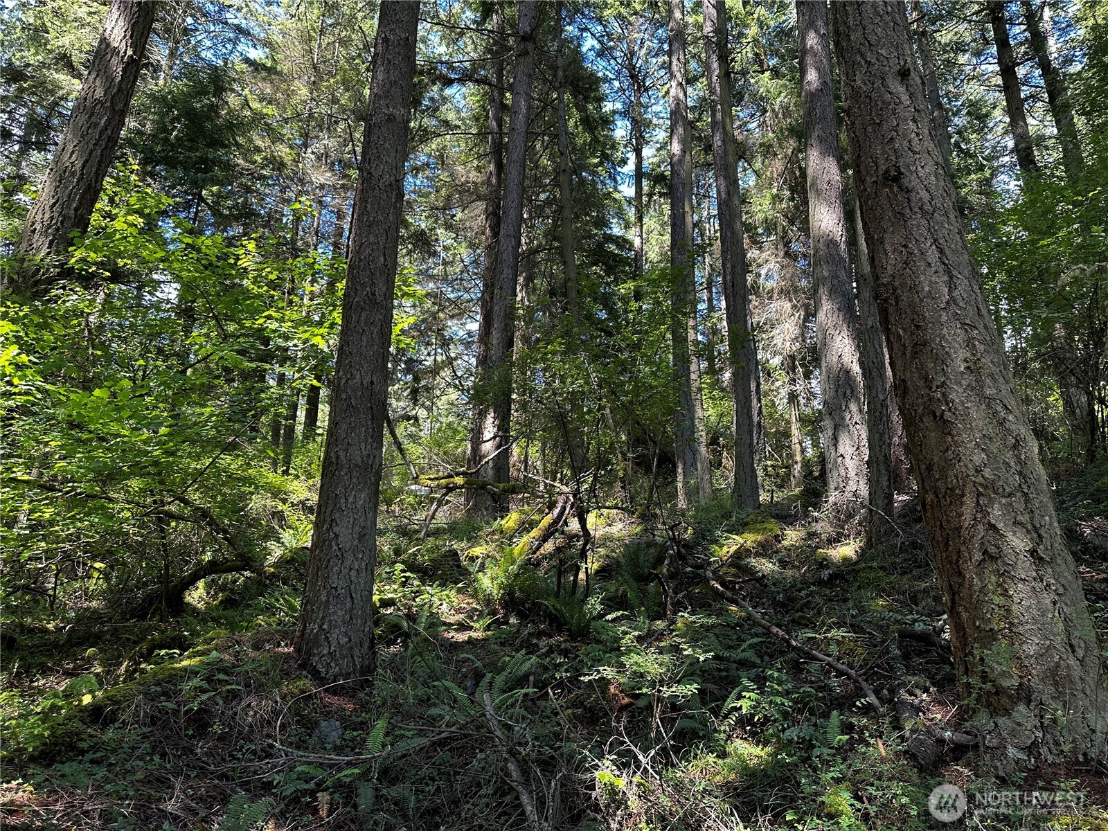 808 Roehl's Hill Rd. Road Property Photo 2