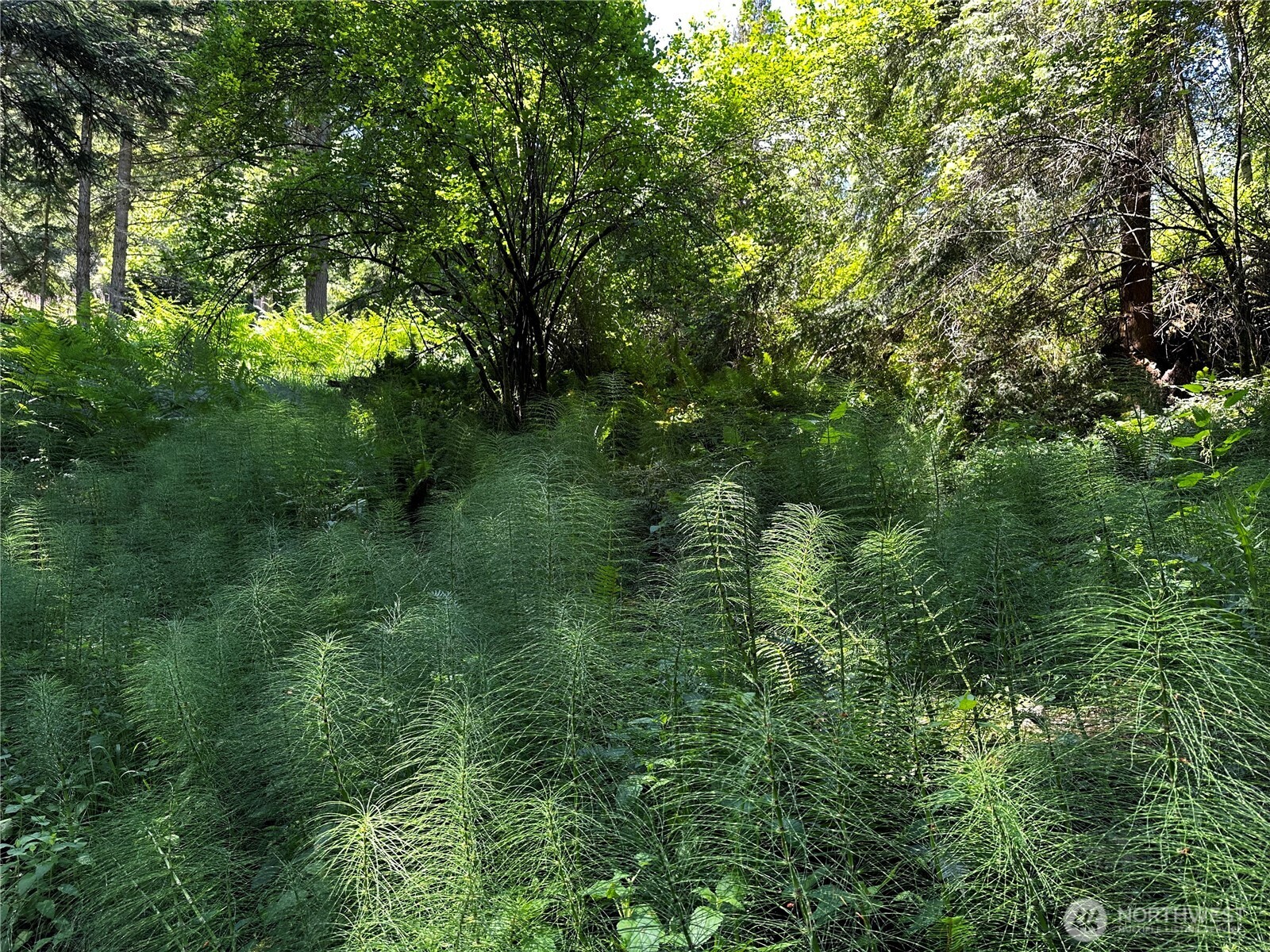808 Roehl's Hill Rd. Road Property Photo 7