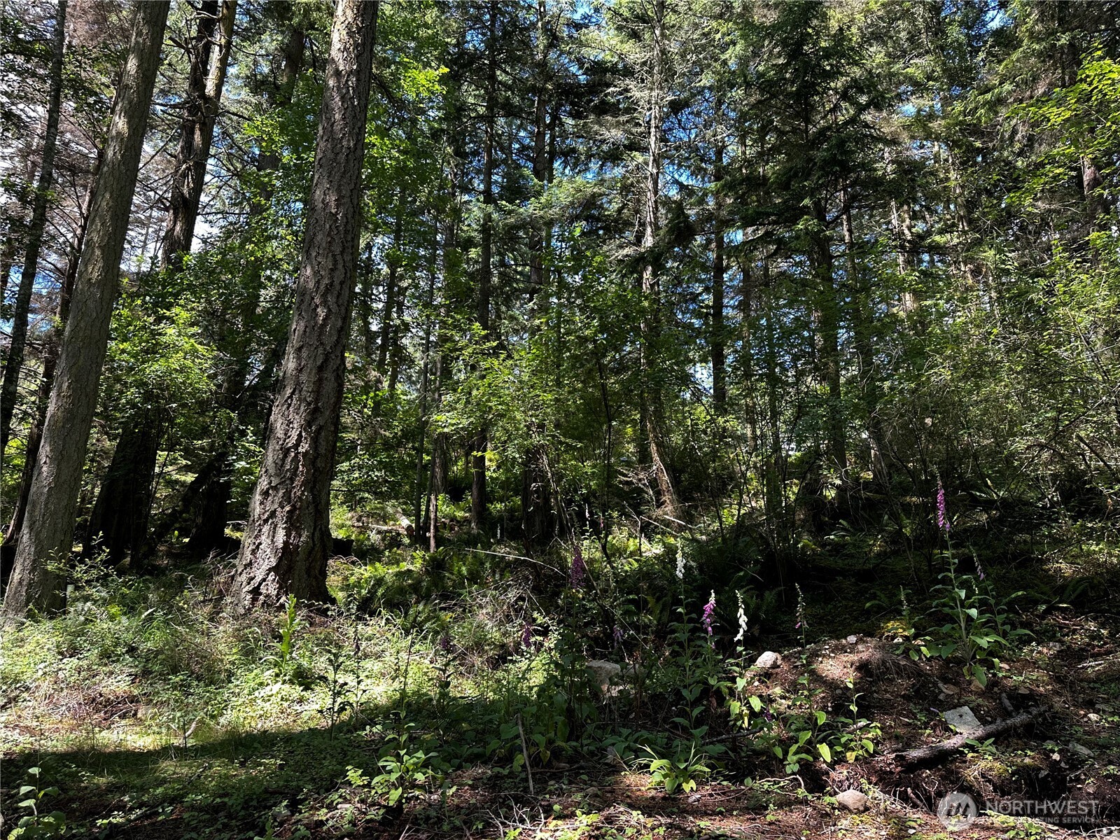 808 Roehl's Hill Rd. Road Property Photo 9