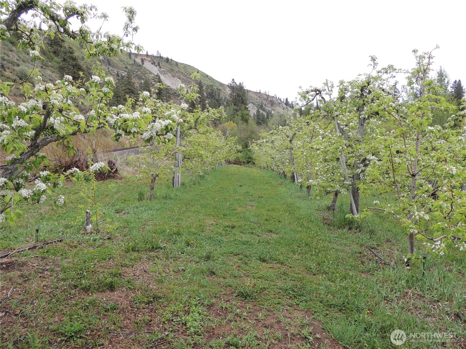 9291 Pakascwa Road Property Photo 30