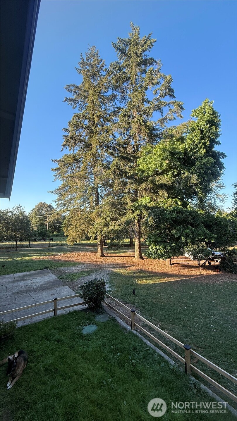 22045 Peter Grubb Road Property Photo 28