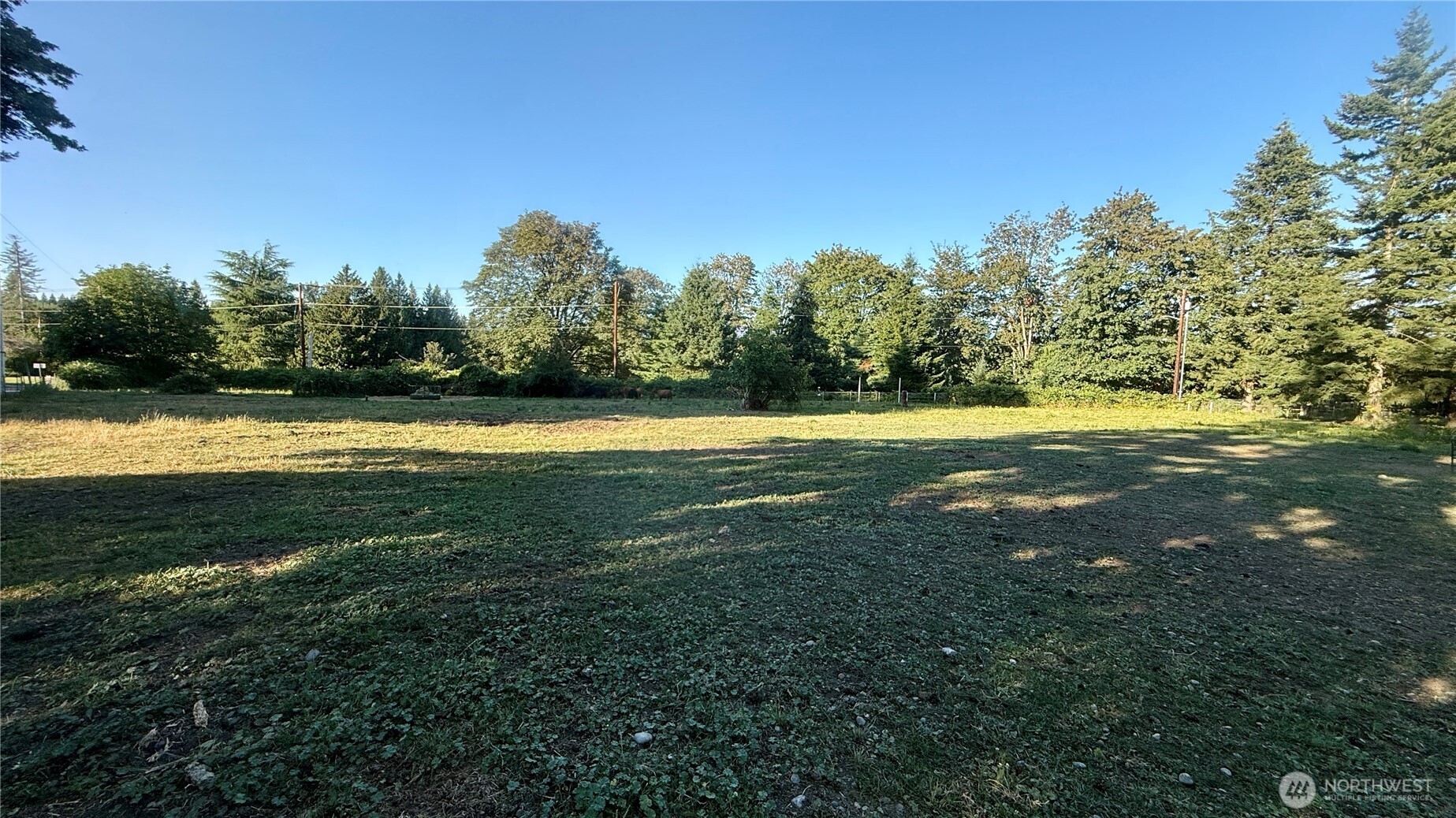 22045 Peter Grubb Road Property Photo 34
