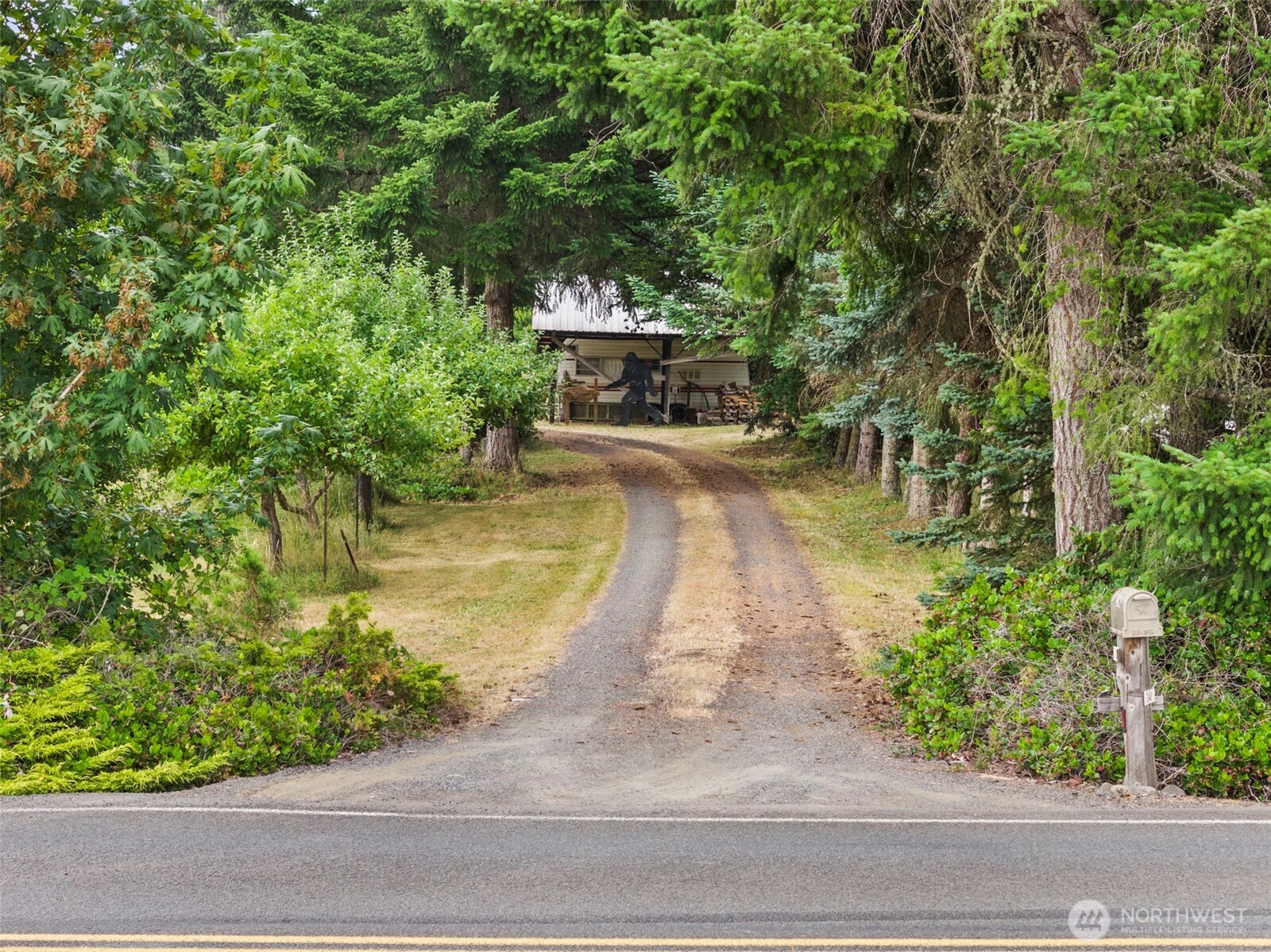 341 Frogner Road Property Photo 4