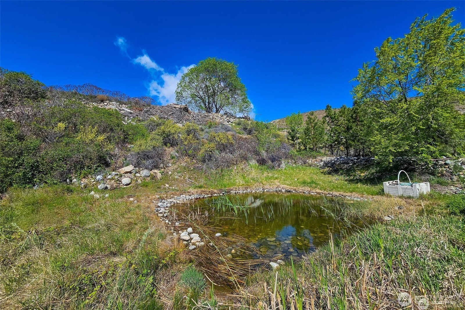 3710 Stayman Flats Road Property Photo 4