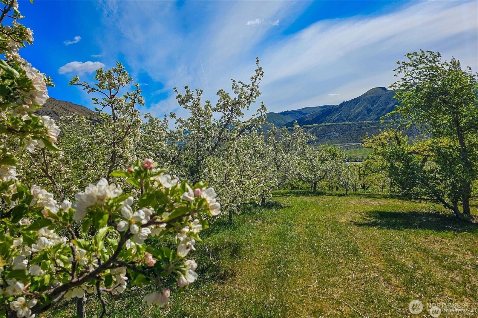 3710 Stayman Flats Road Property Photo 15