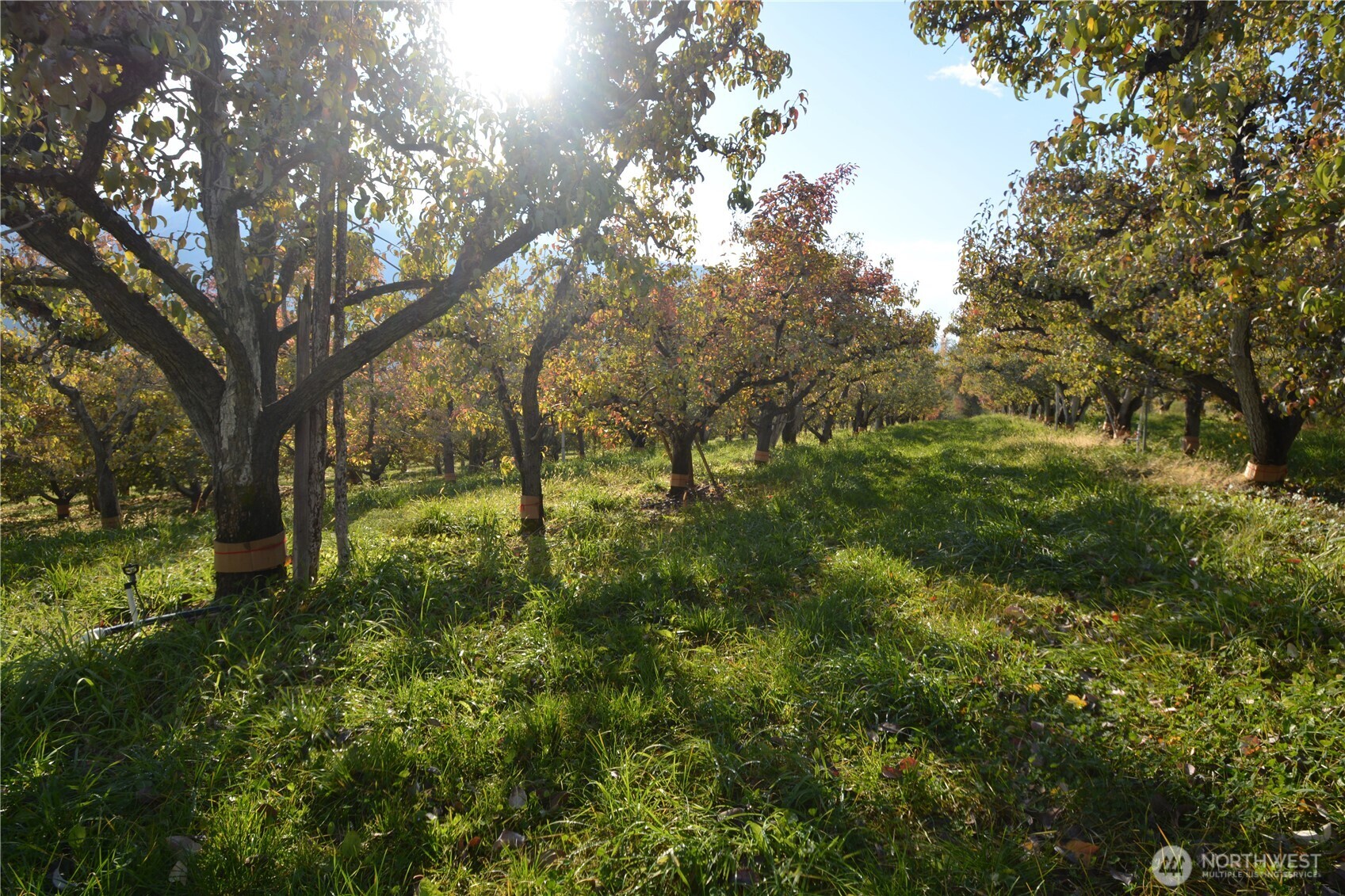 3710 Stayman Flats Road Property Photo 30