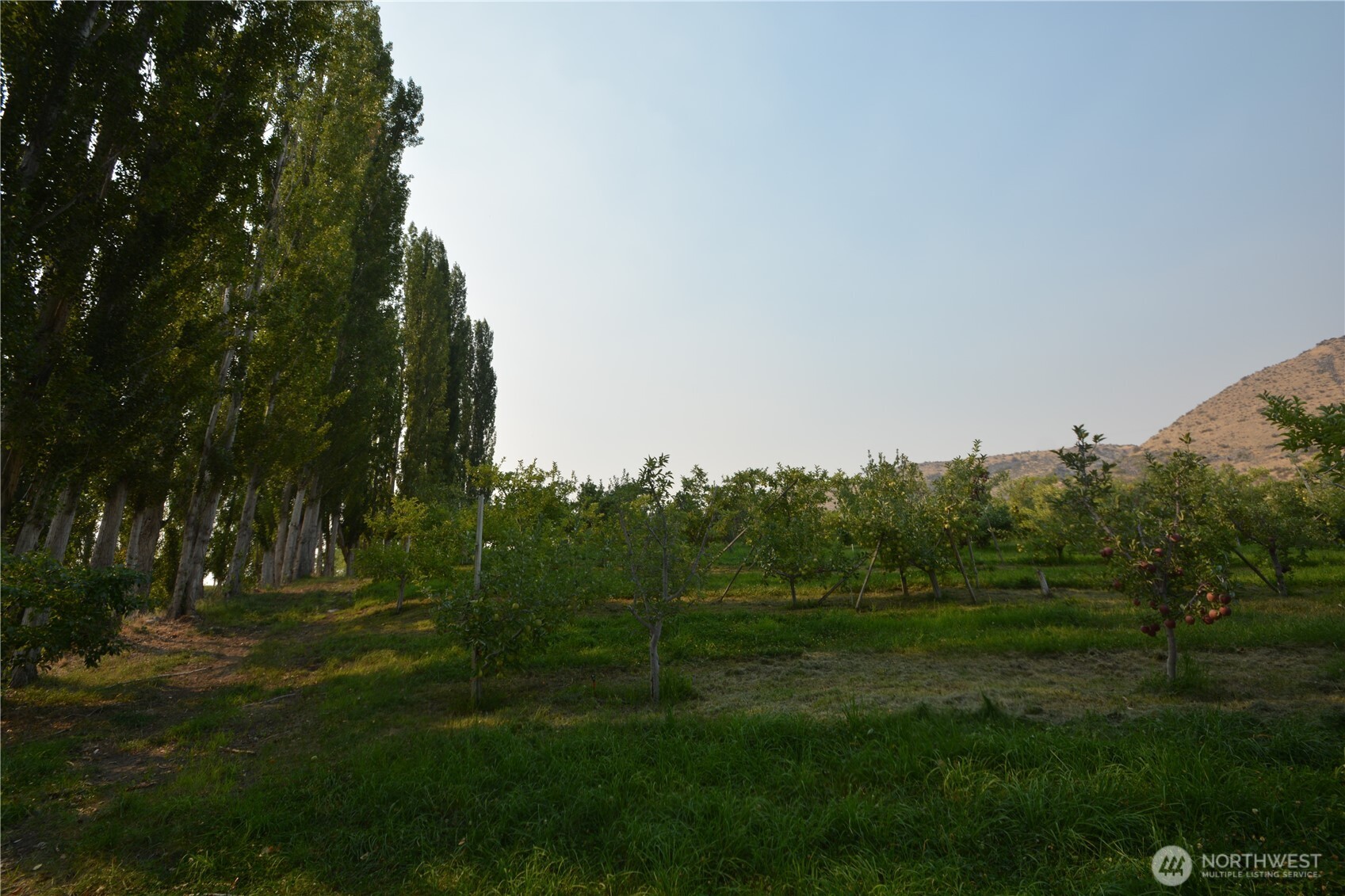 3710 Stayman Flats Road Property Photo 35
