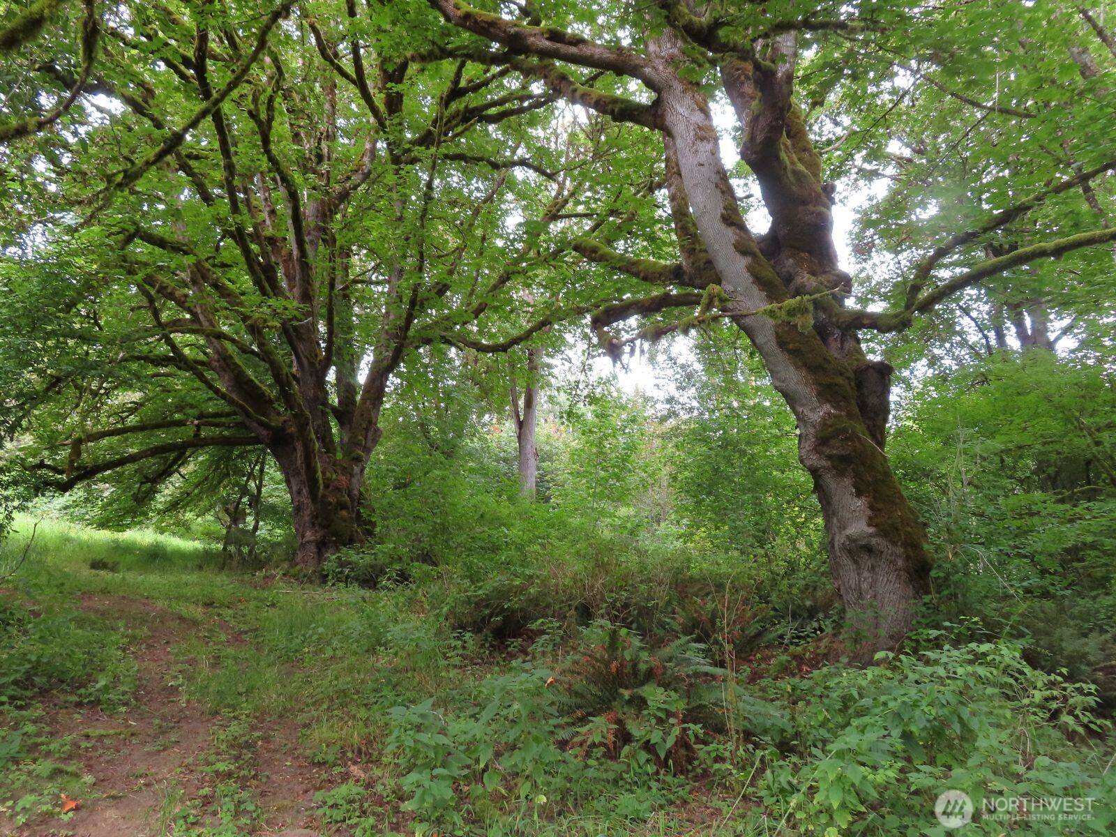 0 XXX Del Ray Road Property Photo 1