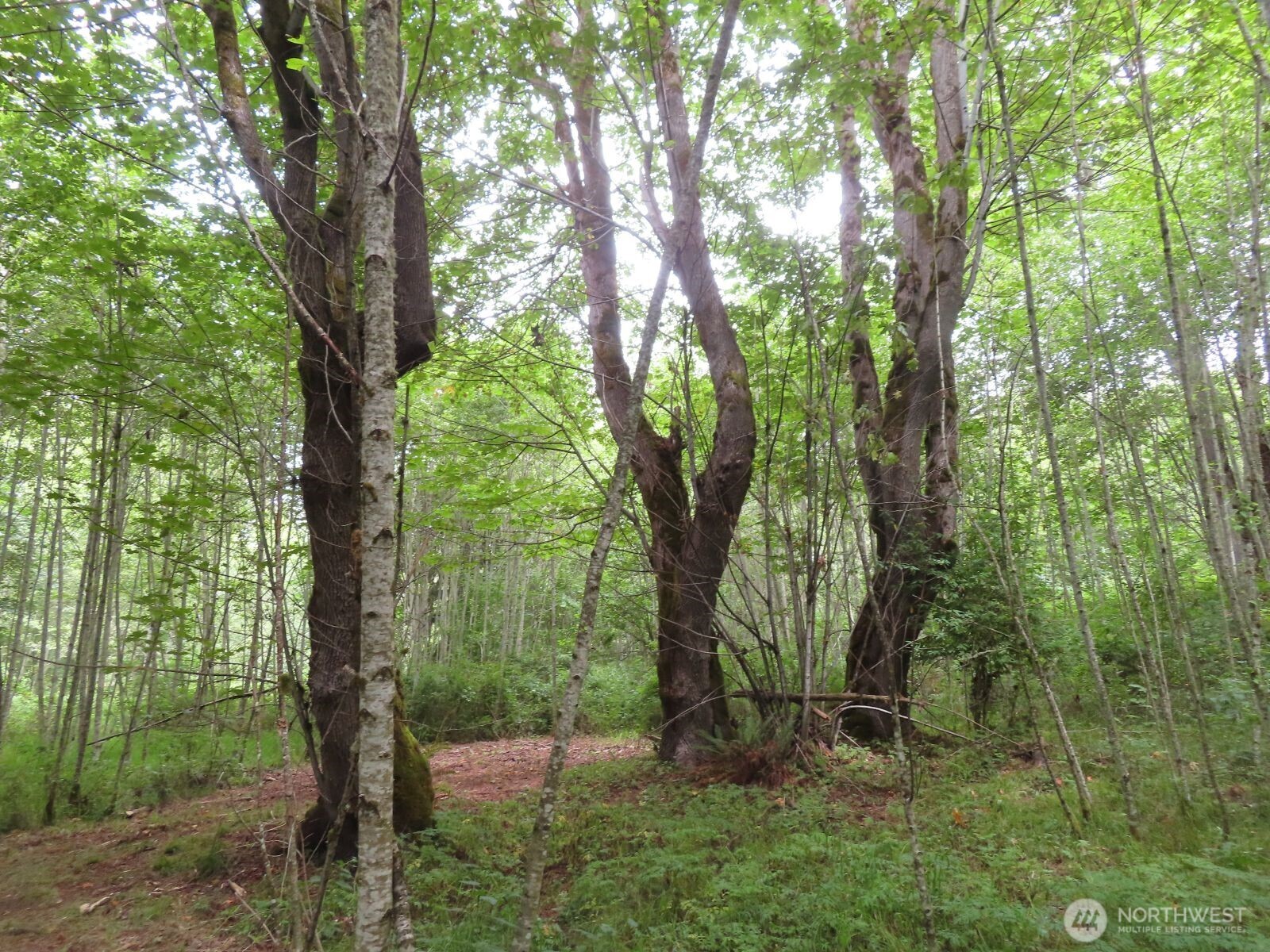 0 Xxx Del Ray Road Property Photo 3
