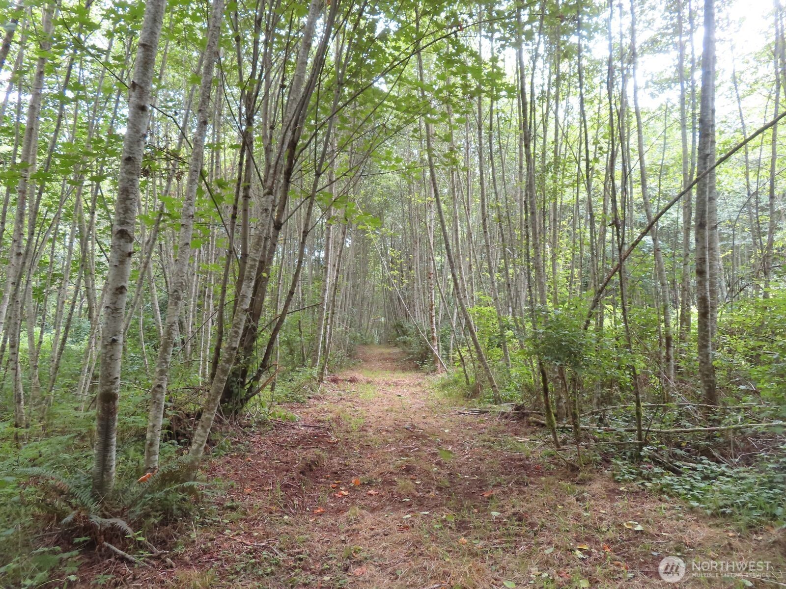 0 Xxx Del Ray Road Property Photo 5