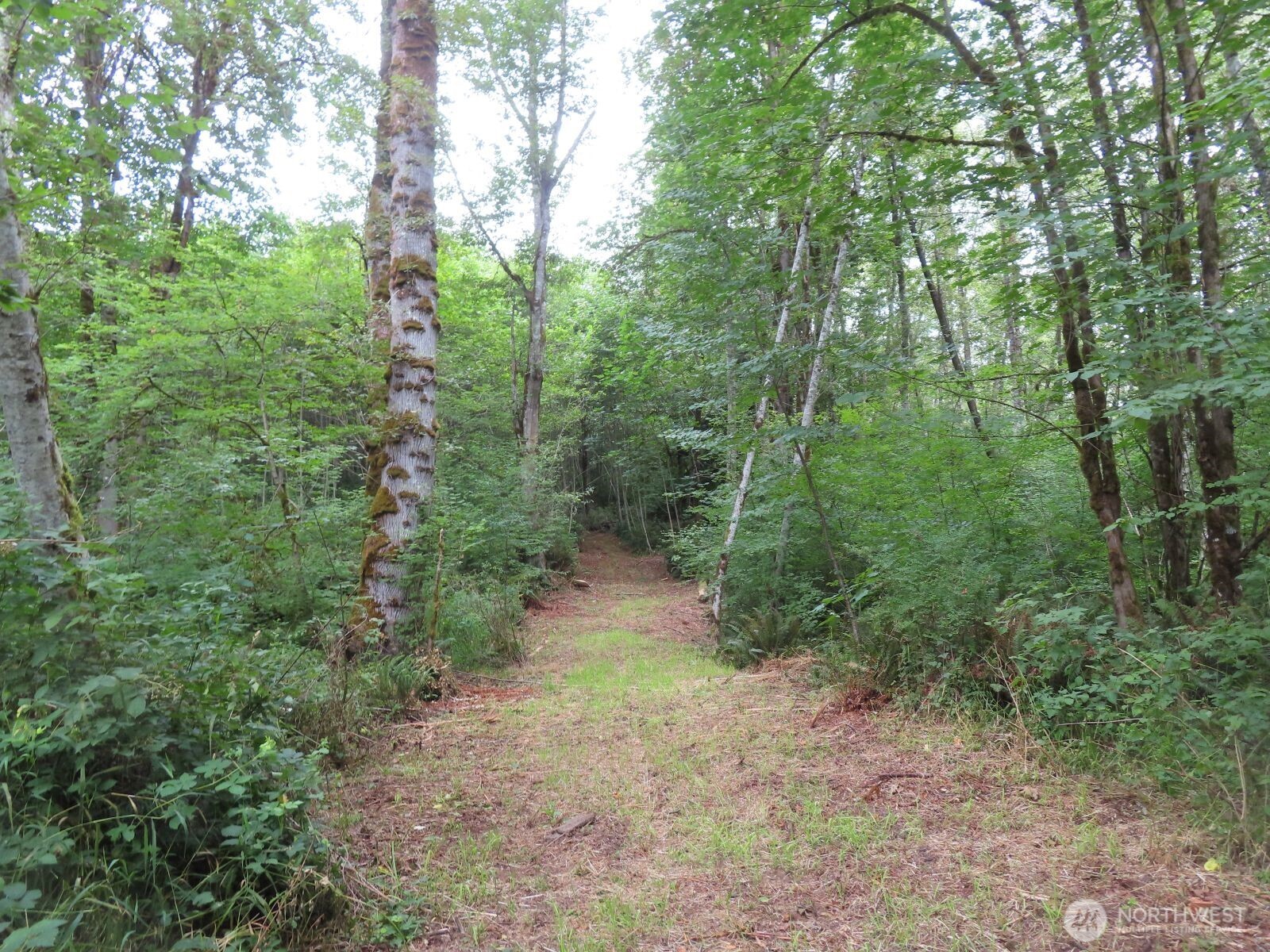 0 Xxx Del Ray Road Property Photo 8